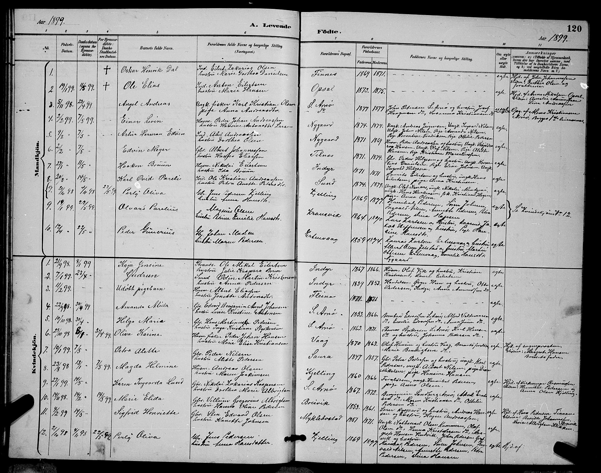 Ministerialprotokoller, klokkerbøker og fødselsregistre - Nordland, AV/SAT-A-1459/805/L0108: Parish register (copy) no. 805C04, 1885-1899, p. 120