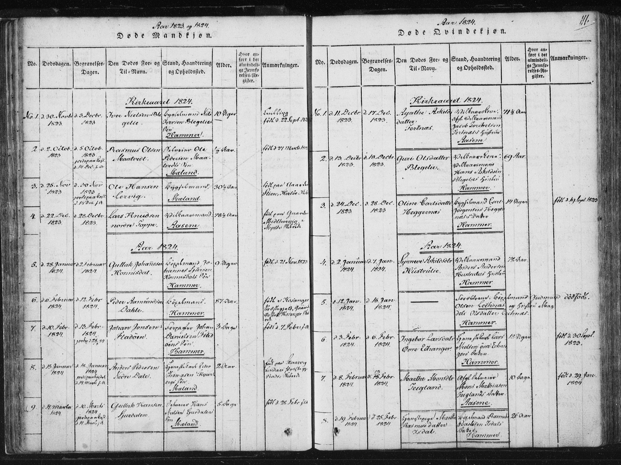 Hamre sokneprestembete, SAB/A-75501/H/Ha/Haa/Haaa/L0010: Parish register (official) no. A 10, 1816-1826, p. 111