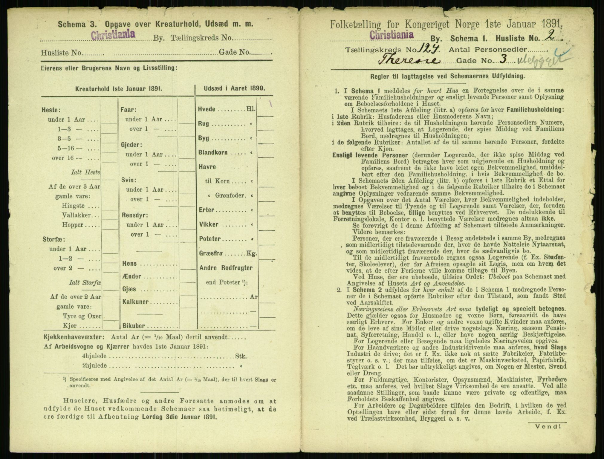 RA, 1891 census for 0301 Kristiania, 1891, p. 65213