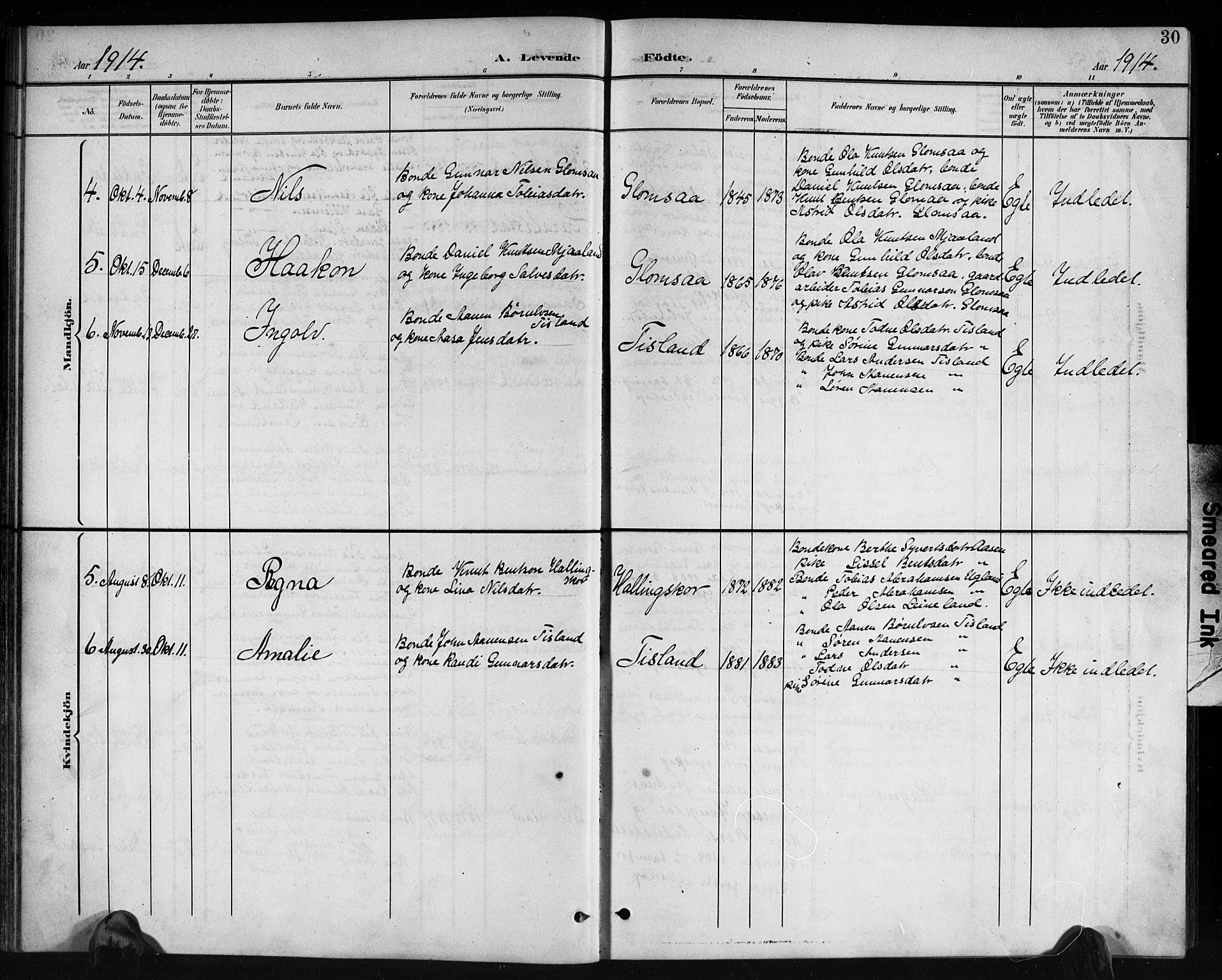 Holum sokneprestkontor, AV/SAK-1111-0022/F/Fb/Fbb/L0004: Parish register (copy) no. B 4, 1899-1920, p. 30