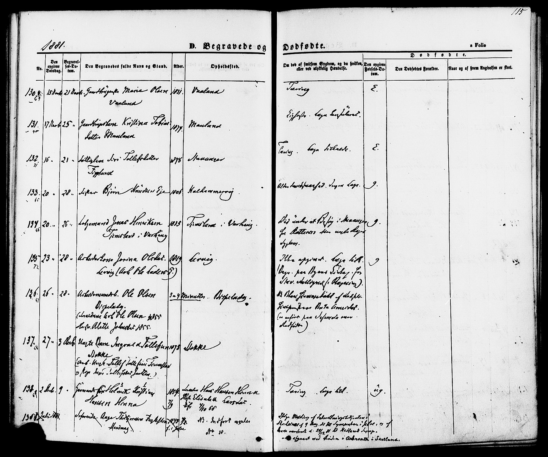 Hetland sokneprestkontor, SAST/A-101826/30/30BA/L0006: Parish register (official) no. A 6, 1869-1884, p. 115