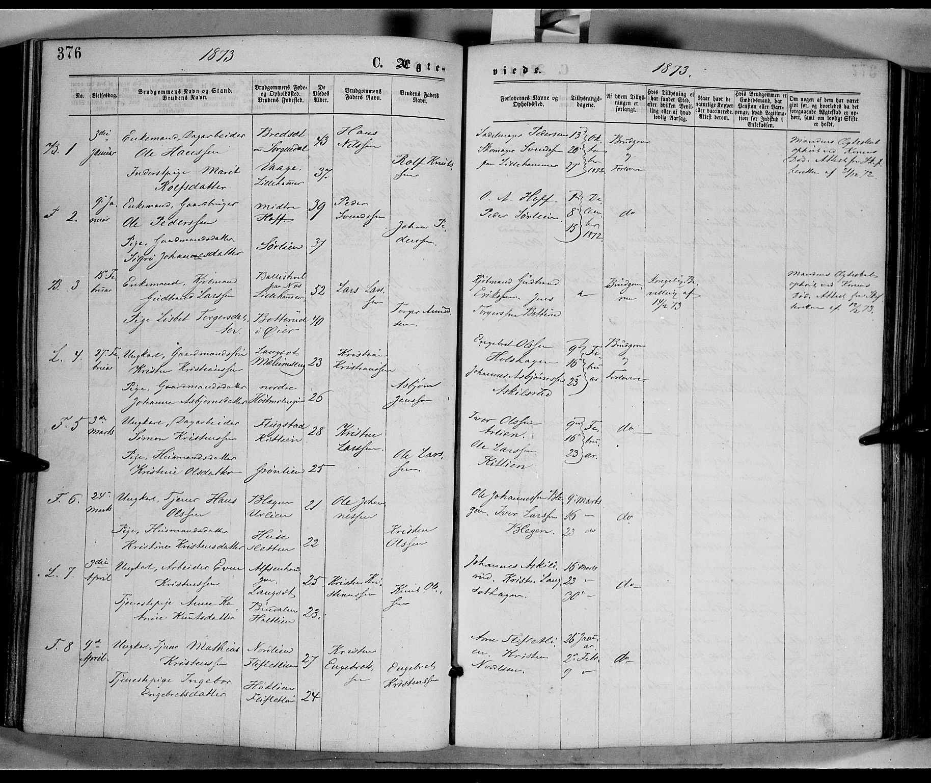 Fåberg prestekontor, AV/SAH-PREST-086/H/Ha/Haa/L0007: Parish register (official) no. 7, 1868-1878, p. 376