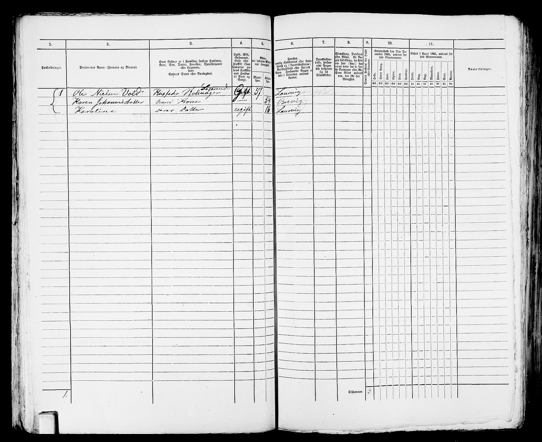 RA, 1865 census for Larvik, 1865, p. 746