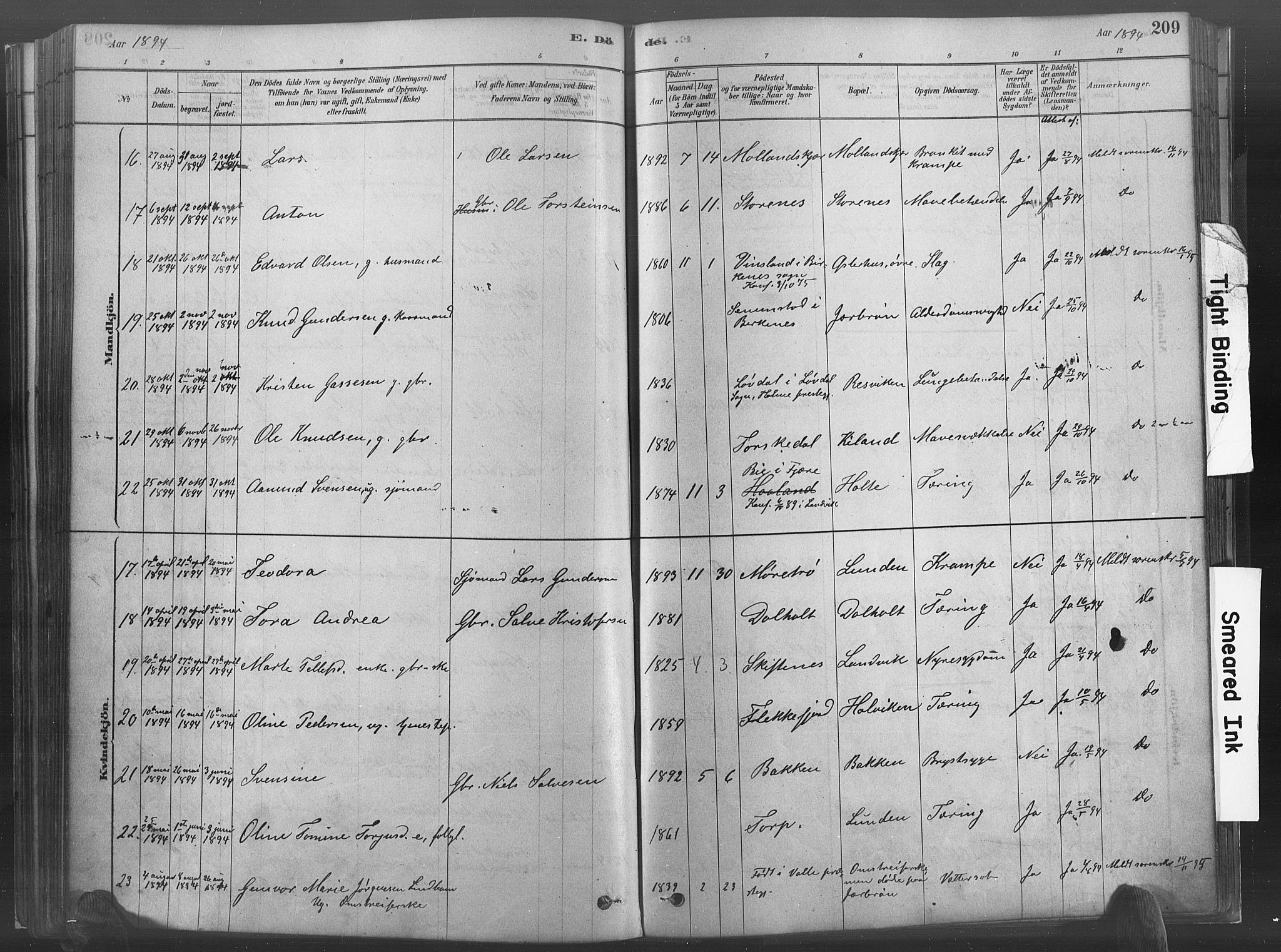 Hommedal sokneprestkontor, AV/SAK-1111-0023/F/Fa/Fab/L0006: Parish register (official) no. A 6, 1878-1897, p. 209