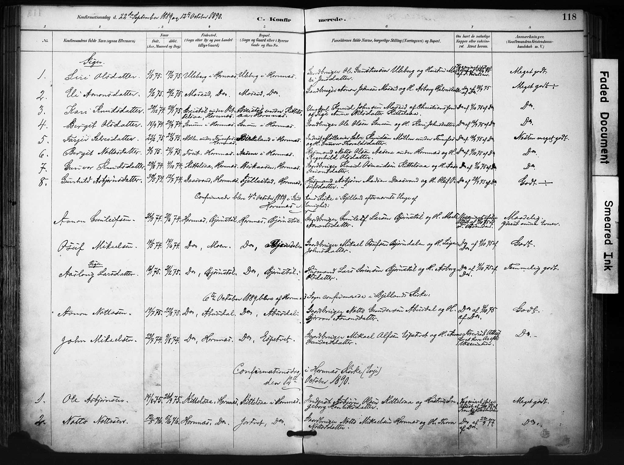 Evje sokneprestkontor, SAK/1111-0008/F/Fa/Fab/L0003: Parish register (official) no. A 3, 1884-1909, p. 118