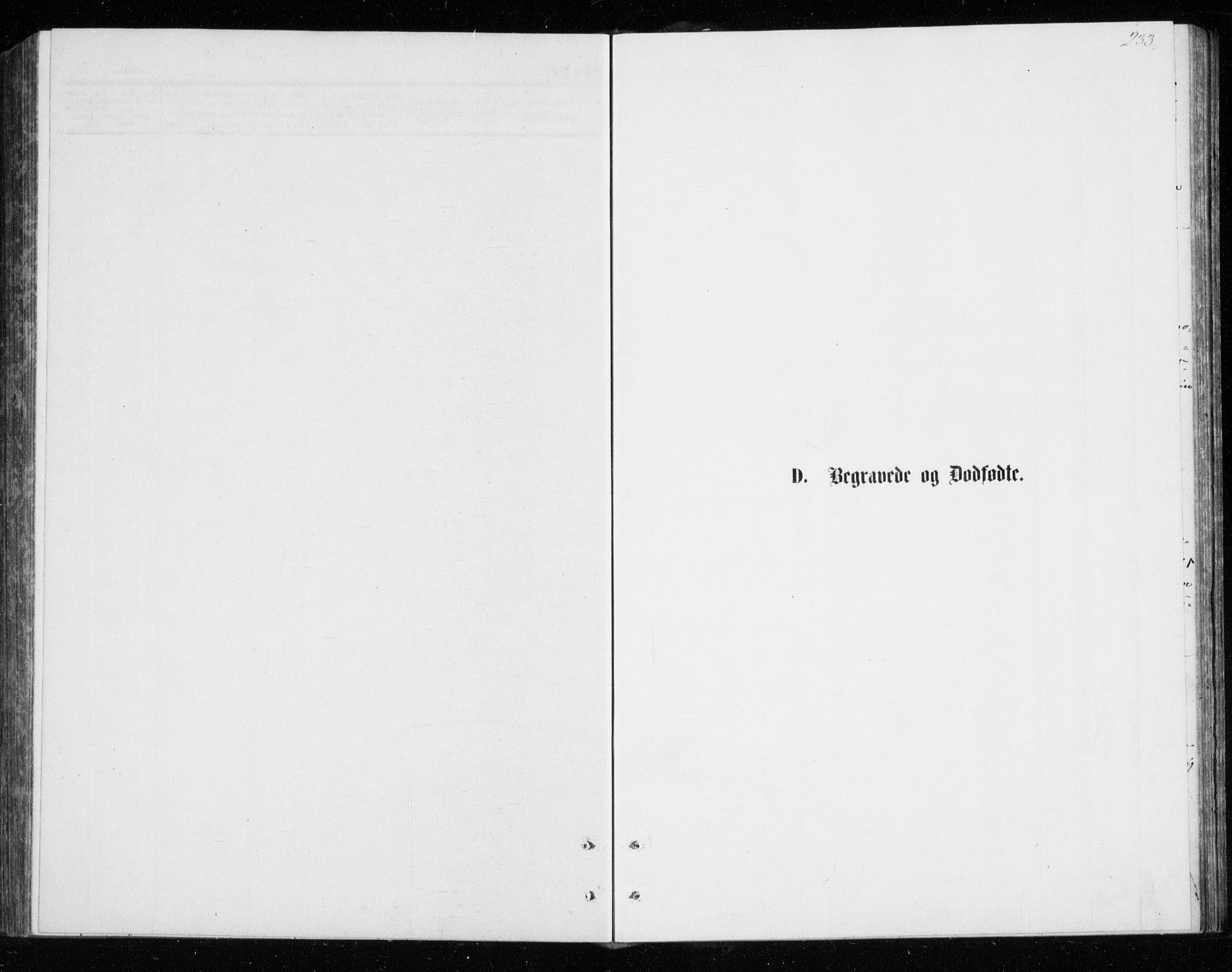 Tromsø sokneprestkontor/stiftsprosti/domprosti, SATØ/S-1343/G/Gb/L0008klokker: Parish register (copy) no. 8, 1875-1879, p. 233