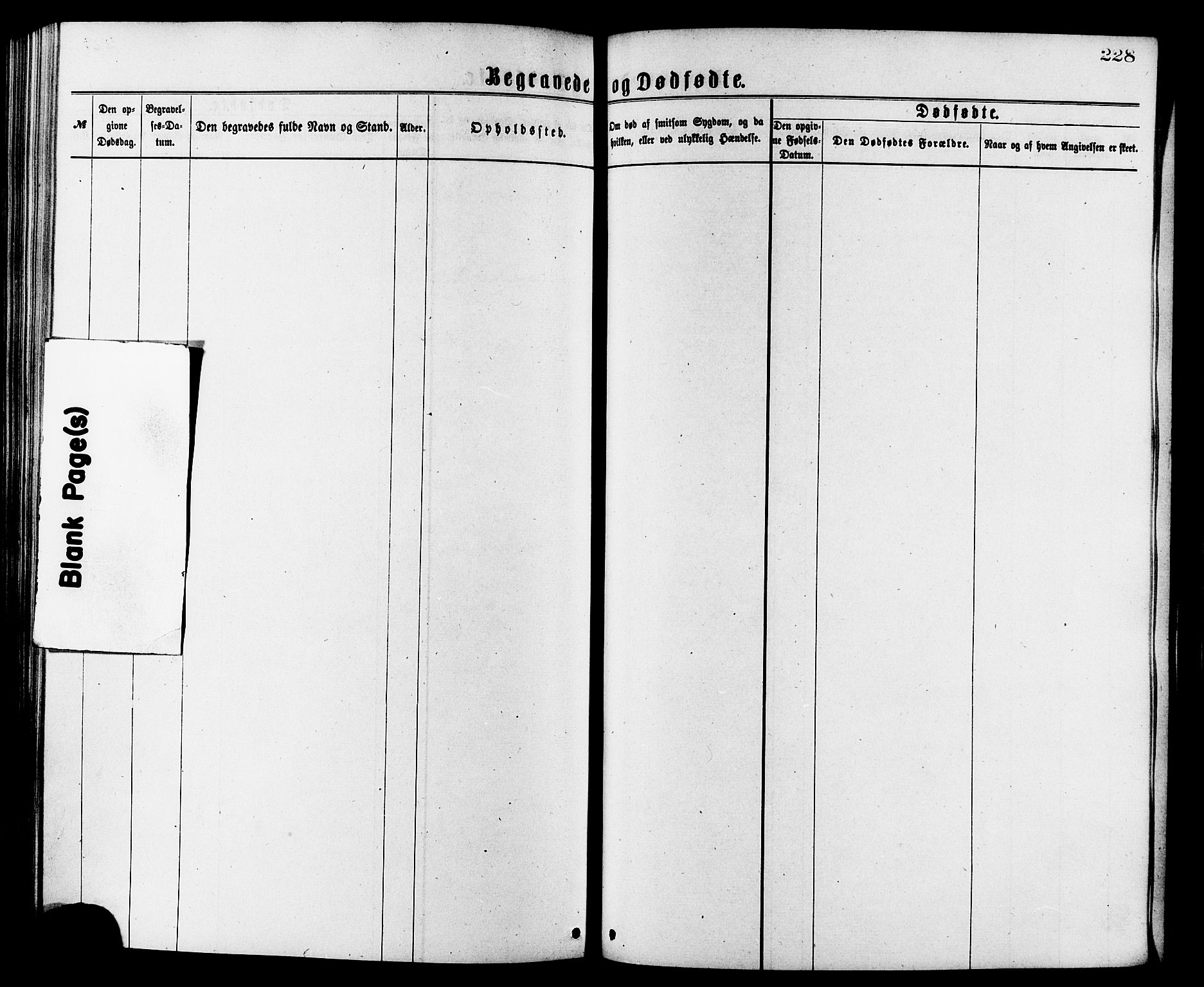 Ministerialprotokoller, klokkerbøker og fødselsregistre - Møre og Romsdal, AV/SAT-A-1454/502/L0024: Parish register (official) no. 502A02, 1873-1884, p. 228