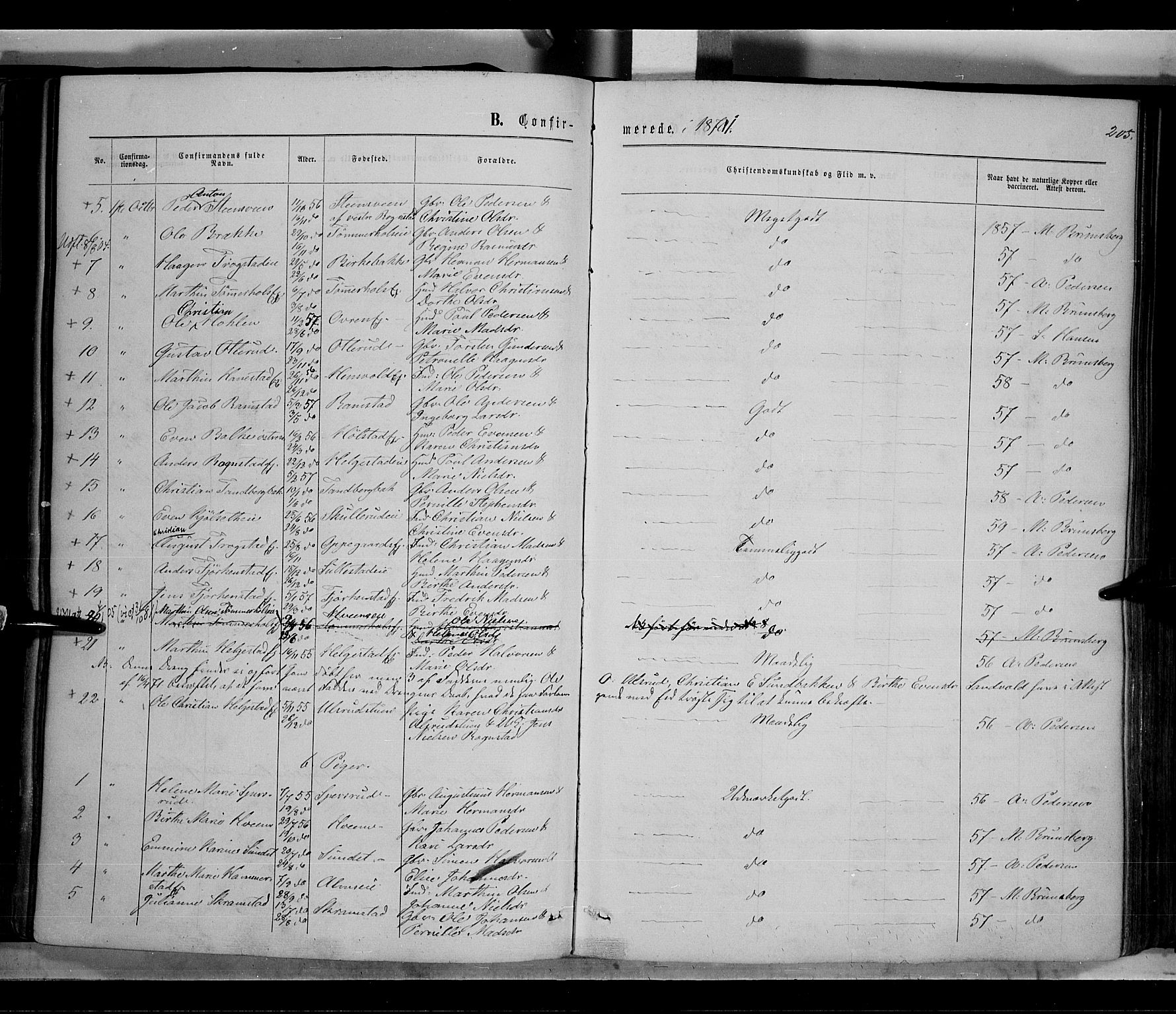 Østre Toten prestekontor, SAH/PREST-104/H/Ha/Haa/L0005: Parish register (official) no. 5, 1866-1877, p. 205