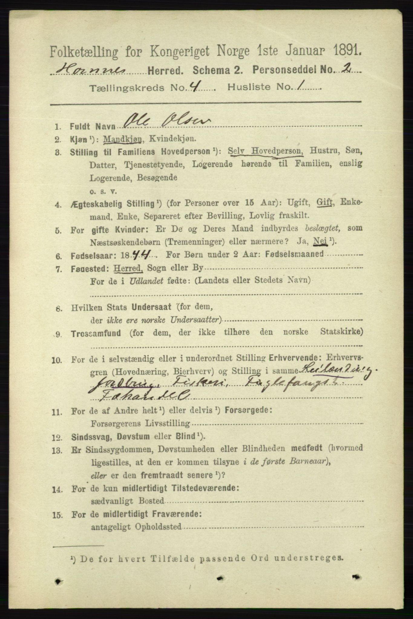 RA, 1891 census for 0936 Hornnes, 1891, p. 1054