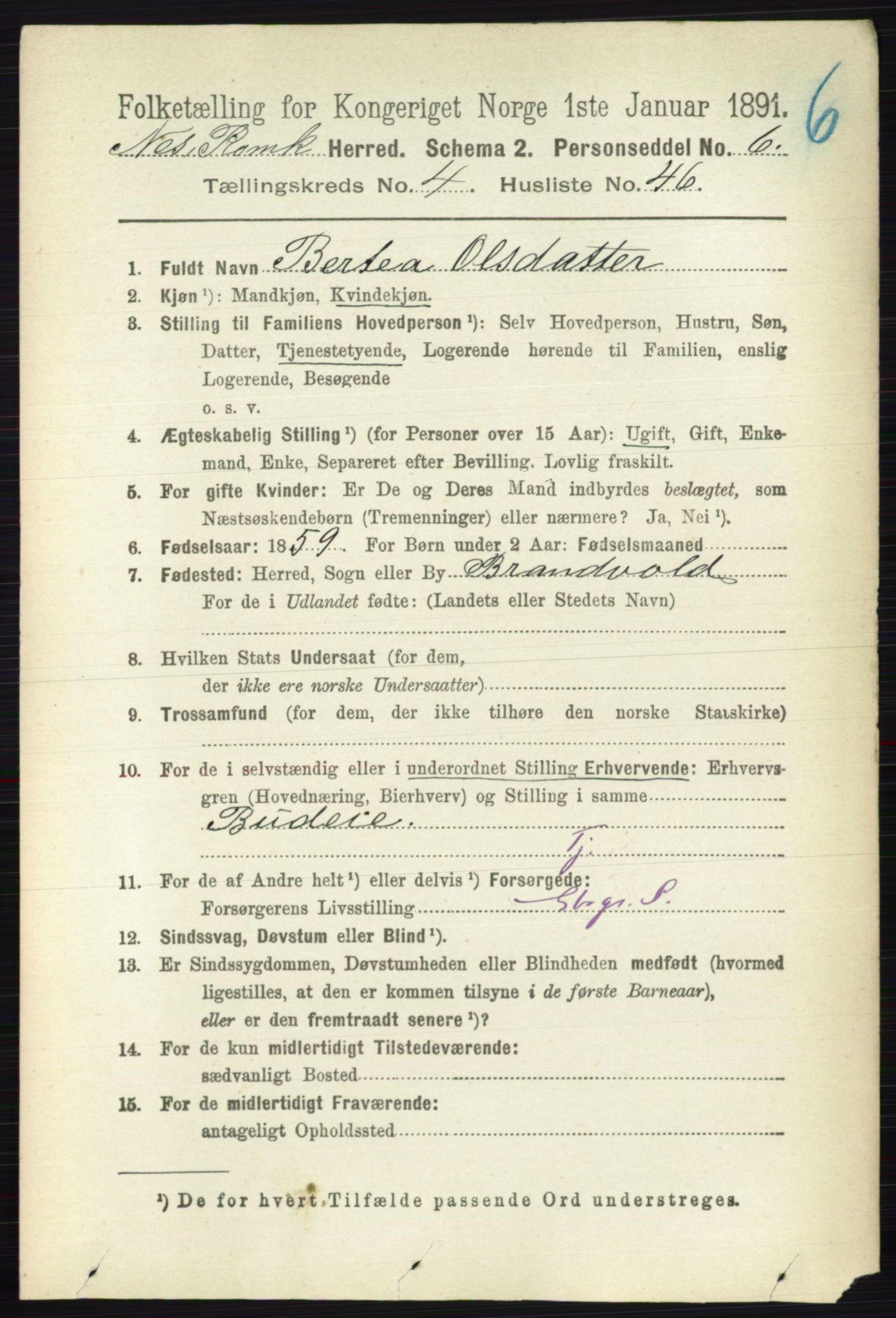 RA, 1891 census for 0236 Nes, 1891, p. 2522