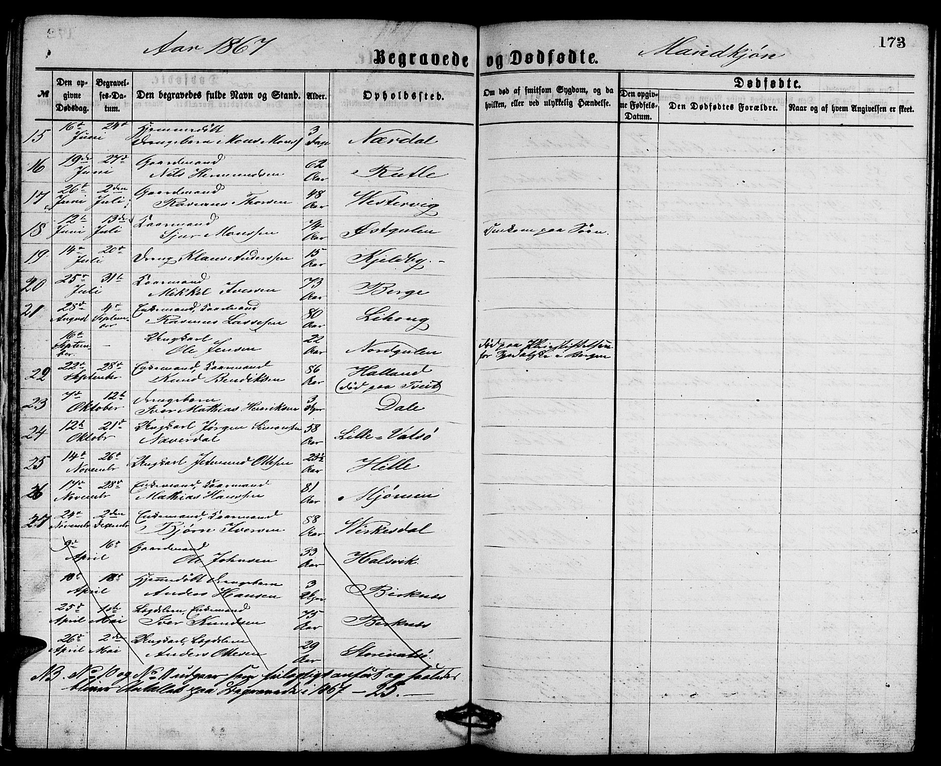 Gulen sokneprestembete, AV/SAB-A-80201/H/Hab/Habb/L0002: Parish register (copy) no. B 2, 1867-1883, p. 173