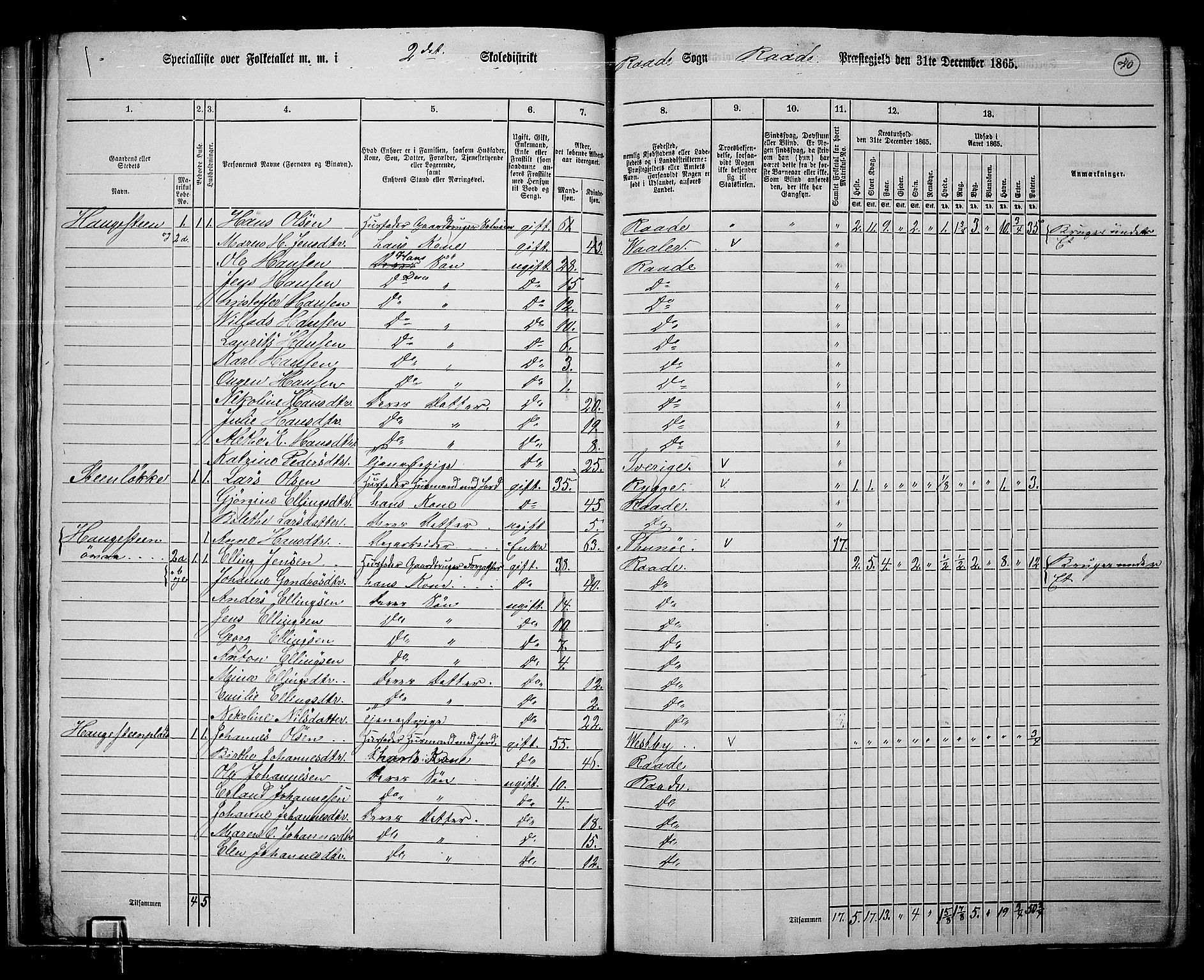 RA, 1865 census for Råde, 1865, p. 34