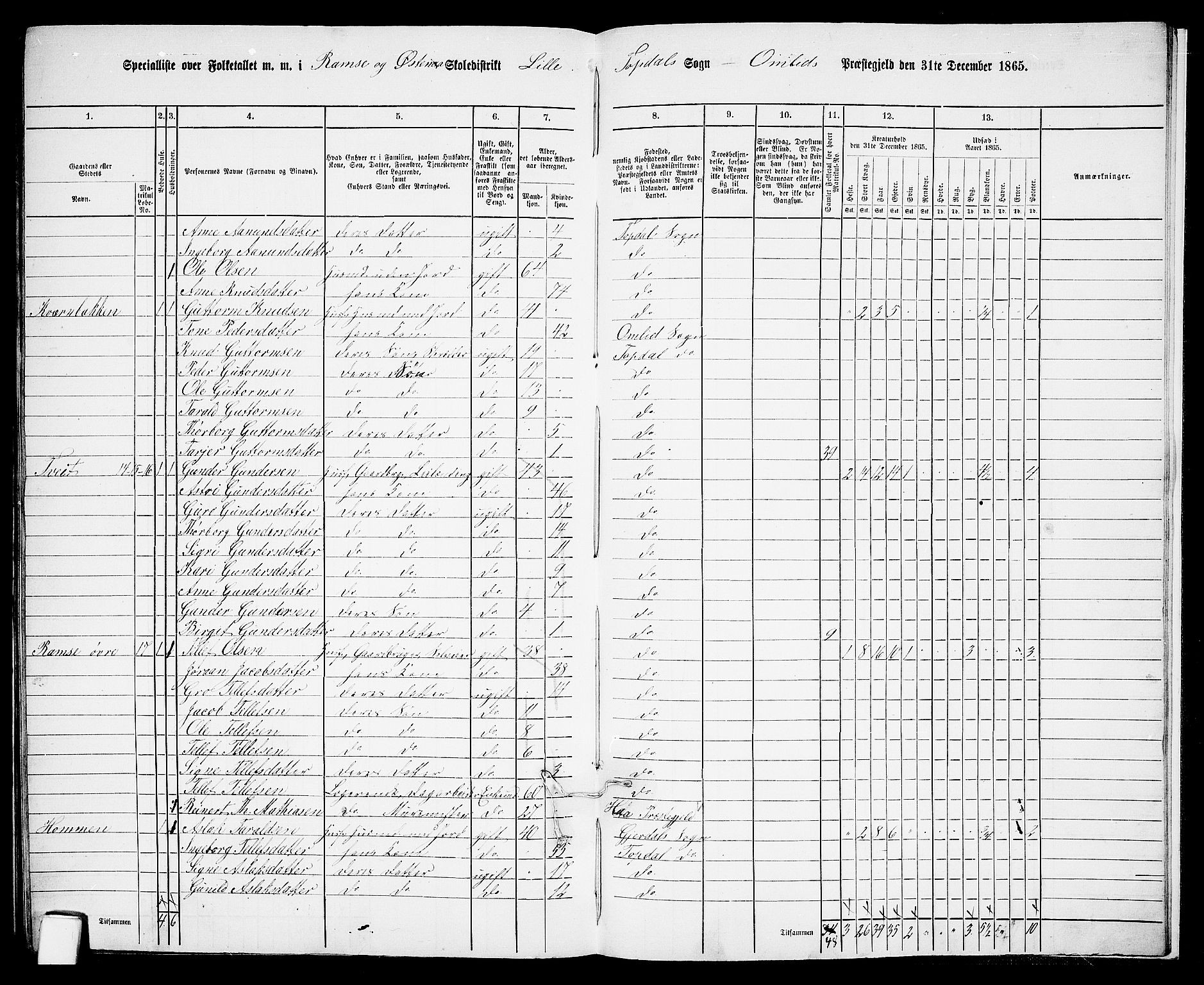 RA, 1865 census for Åmli, 1865, p. 115