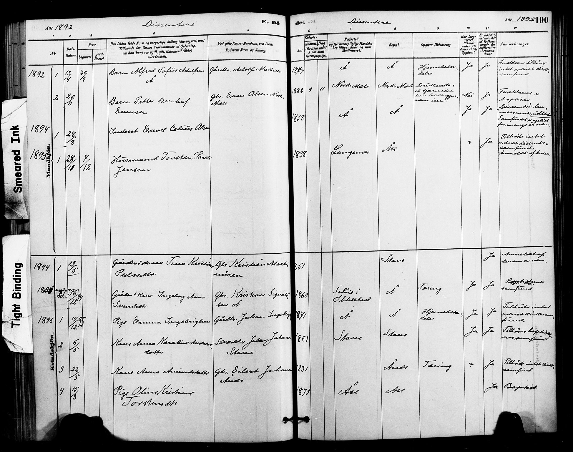 Ministerialprotokoller, klokkerbøker og fødselsregistre - Nordland, AV/SAT-A-1459/897/L1399: Parish register (official) no. 897C06, 1881-1896, p. 190