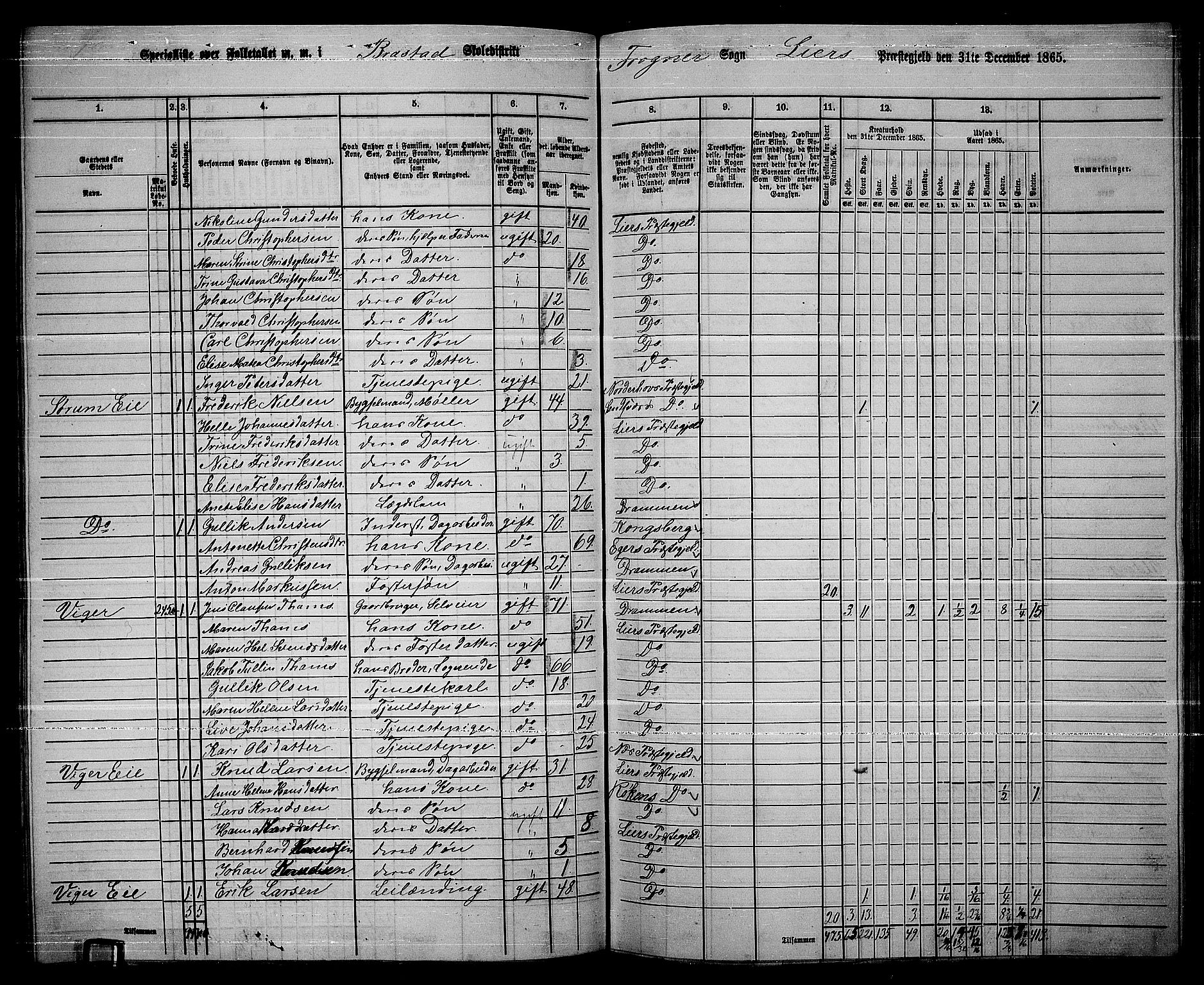 RA, 1865 census for Lier, 1865, p. 142