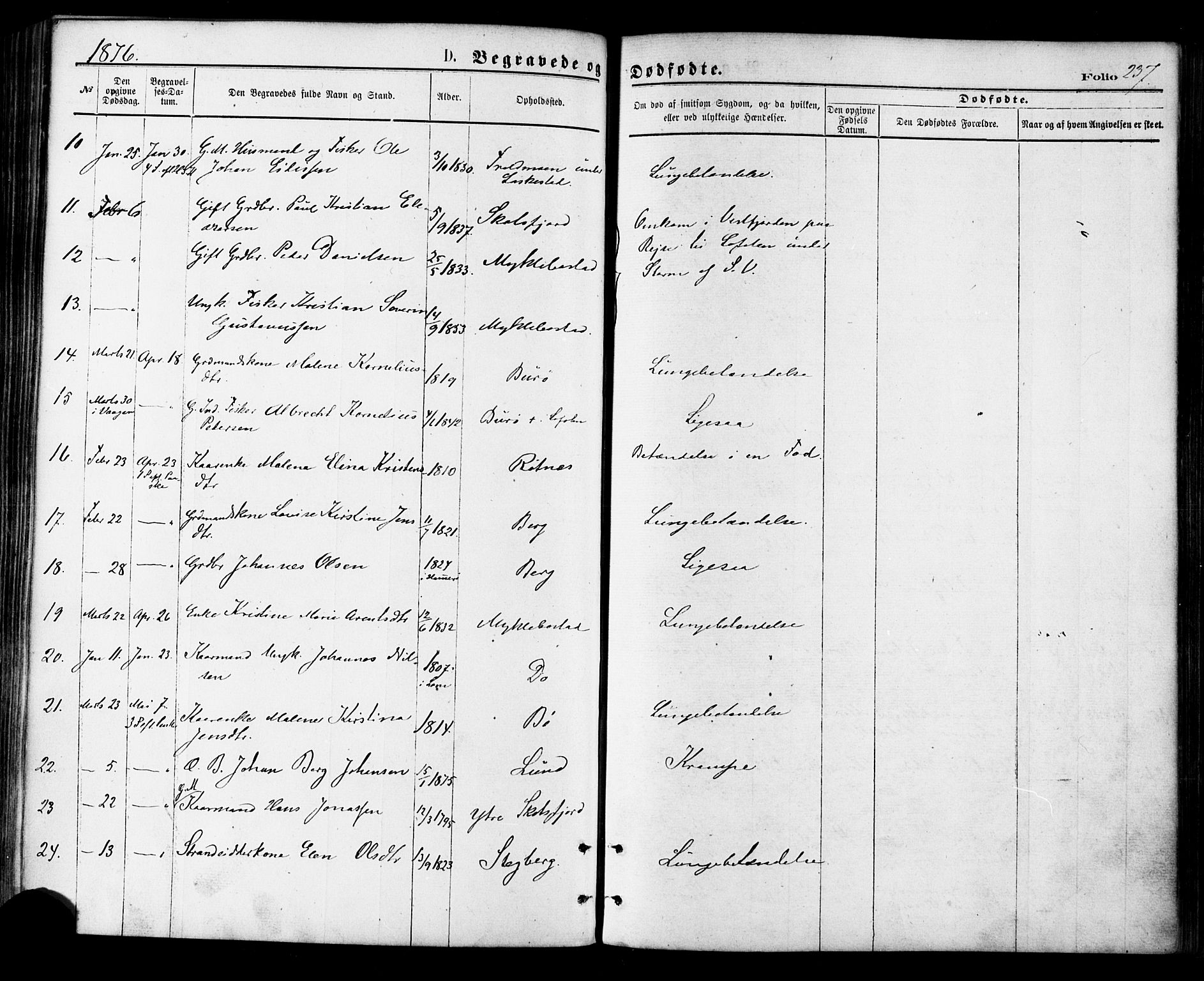 Ministerialprotokoller, klokkerbøker og fødselsregistre - Nordland, AV/SAT-A-1459/855/L0802: Parish register (official) no. 855A10, 1875-1886, p. 237