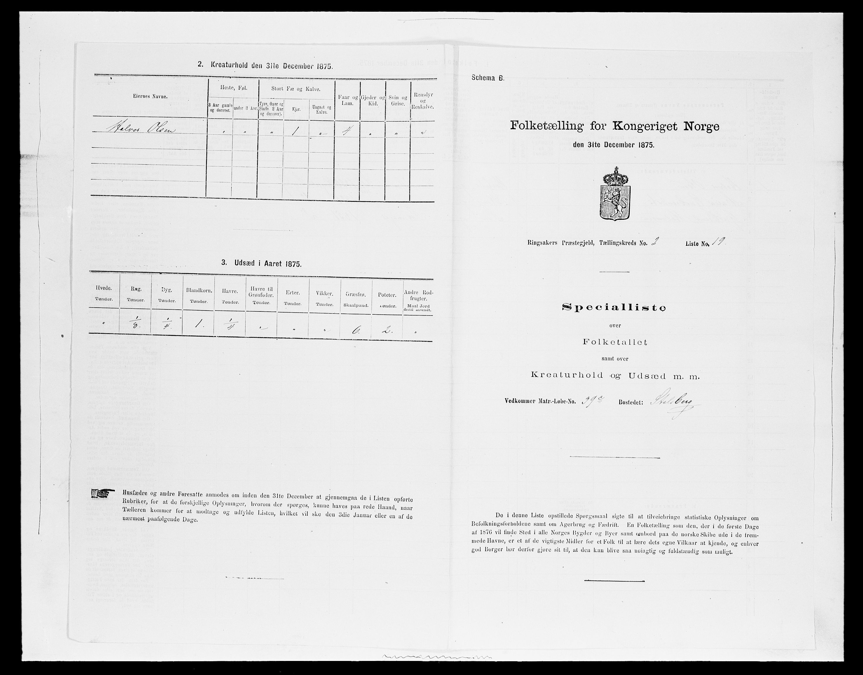 SAH, 1875 census for 0412P Ringsaker, 1875, p. 473