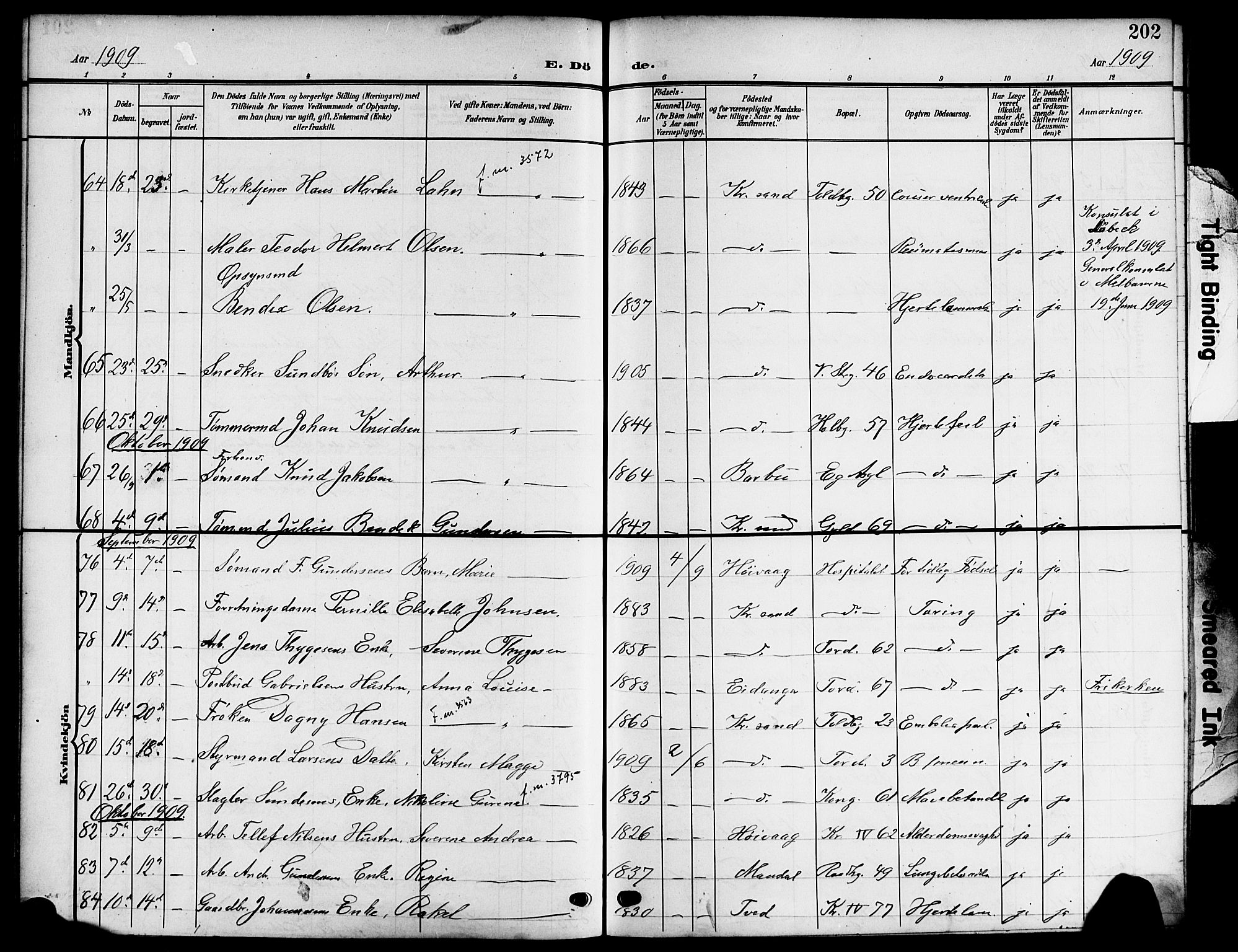 Kristiansand domprosti, AV/SAK-1112-0006/F/Fb/L0020: Parish register (copy) no. B 20, 1906-1915, p. 202