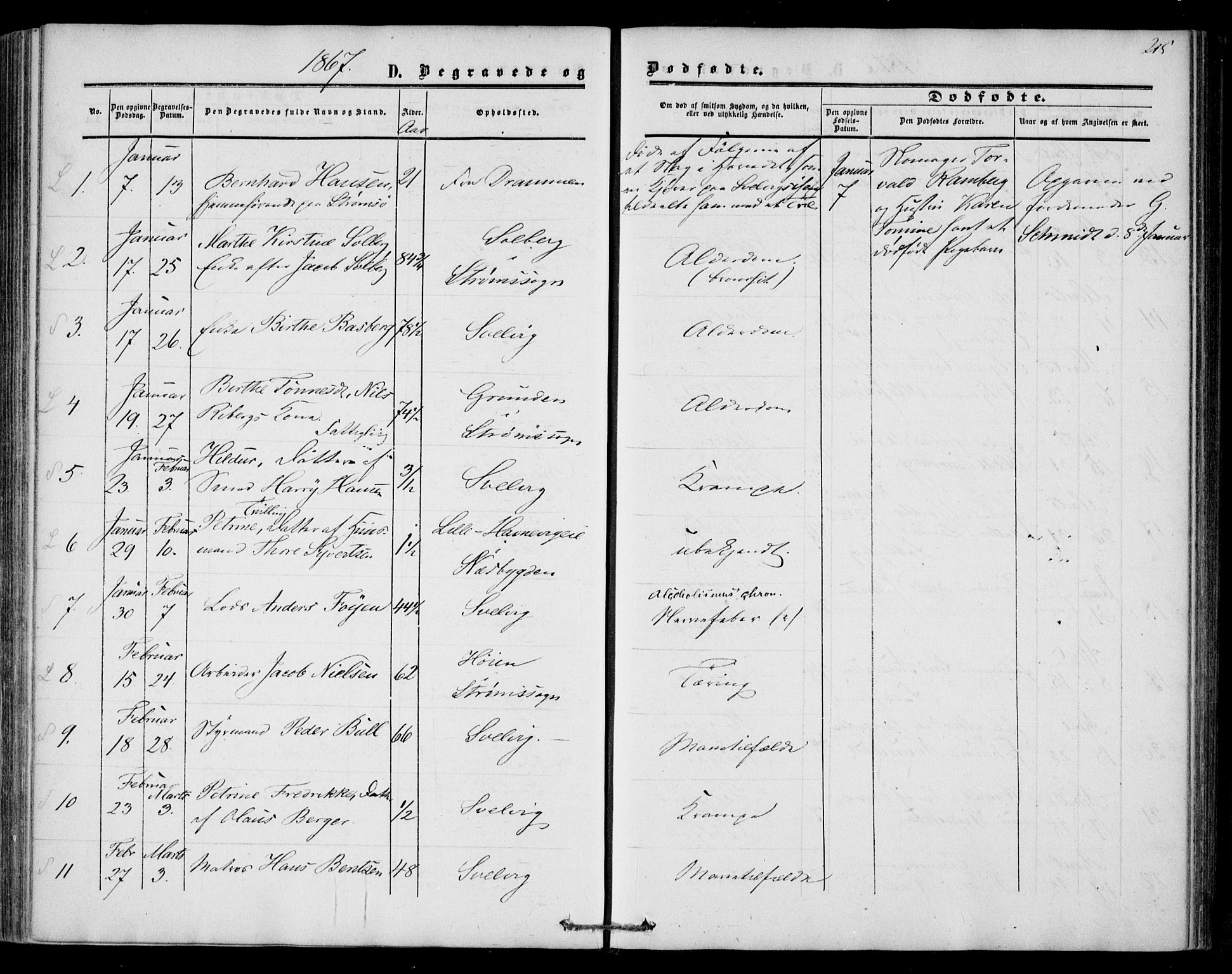 Strømm kirkebøker, AV/SAKO-A-322/F/Fa/L0001: Parish register (official) no. I 1, 1861-1869, p. 215