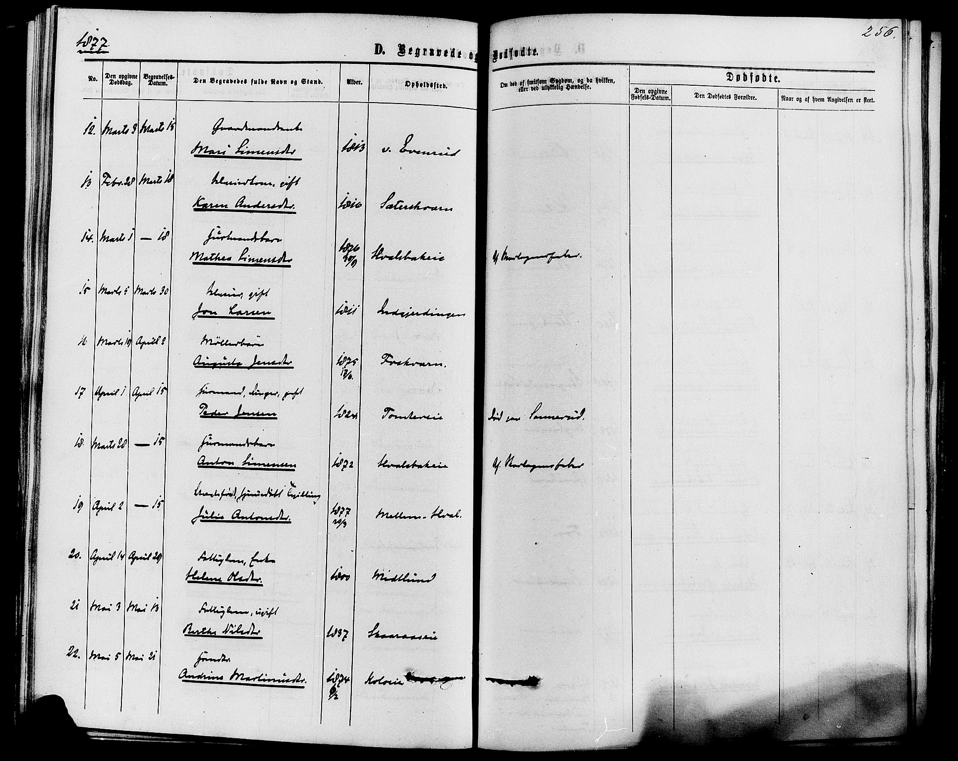 Romedal prestekontor, SAH/PREST-004/K/L0006: Parish register (official) no. 6, 1866-1886, p. 256