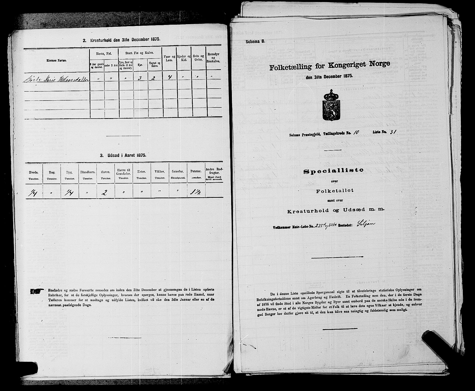 SAKO, 1875 census for 0818P Solum, 1875, p. 1528