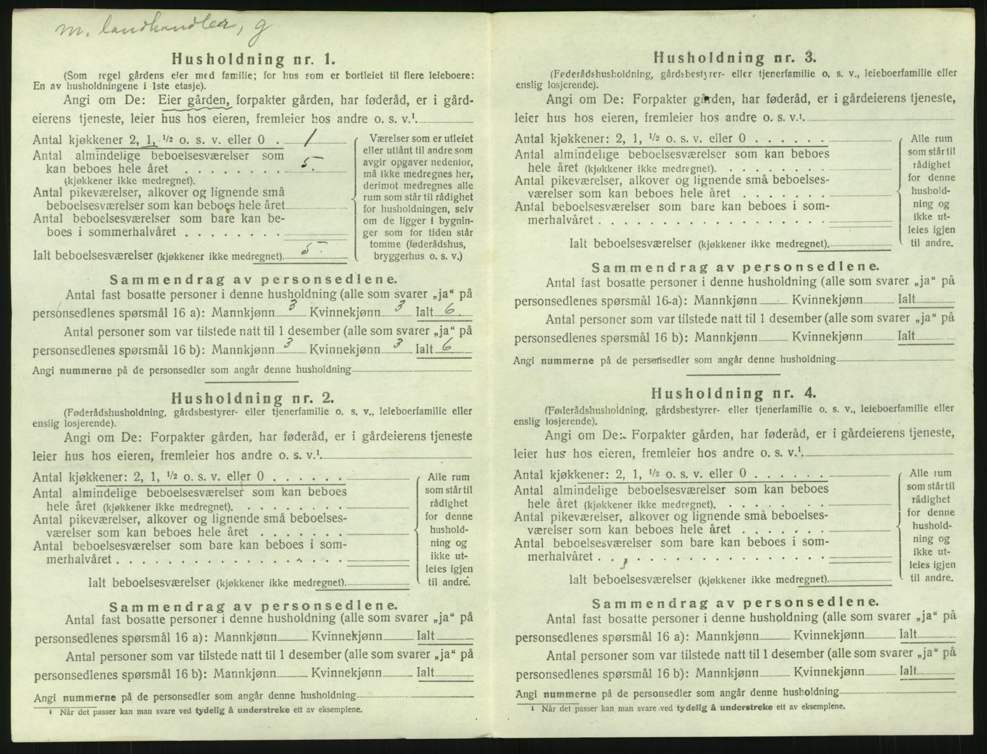 SAH, 1920 census for Fluberg, 1920, p. 781