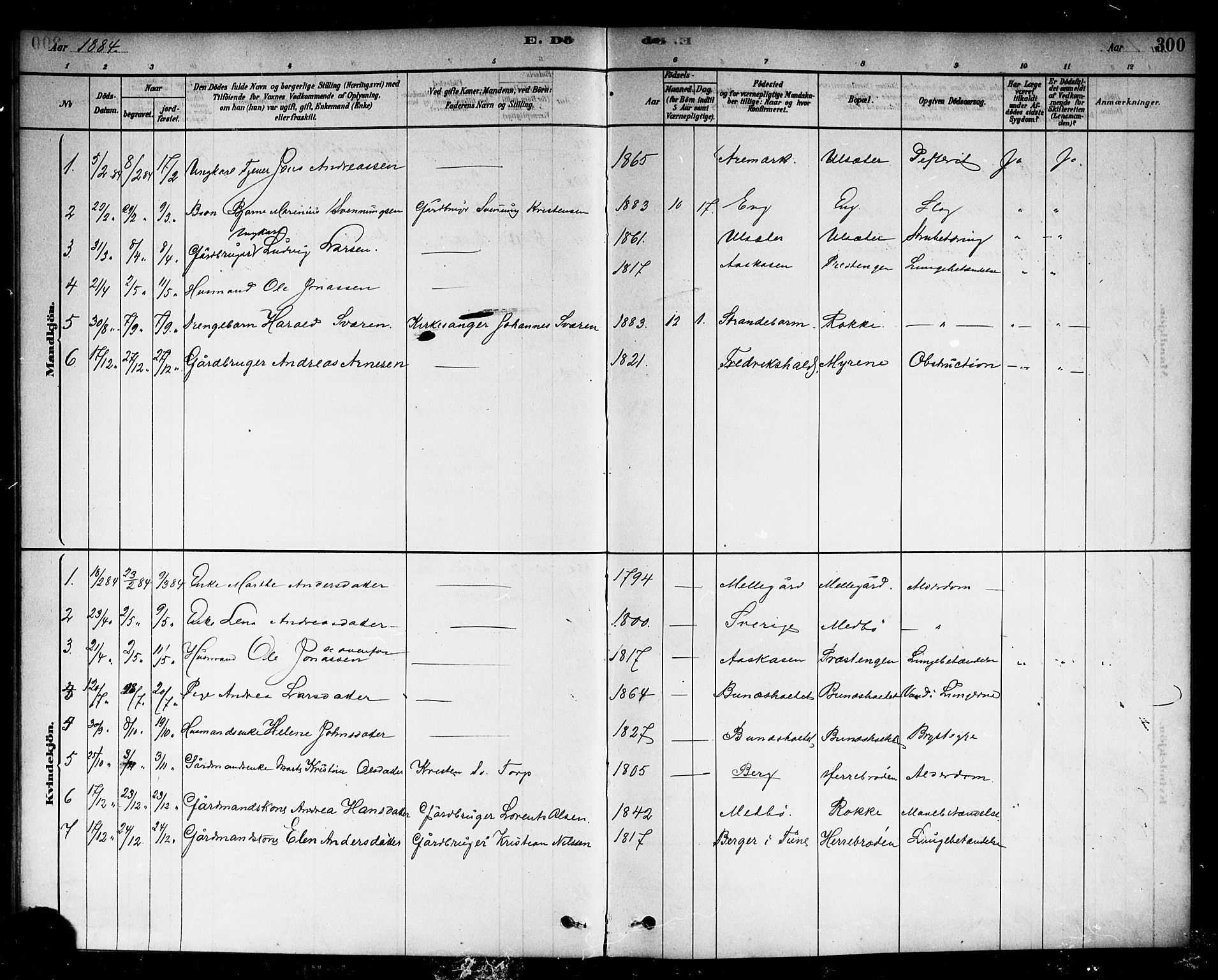 Berg prestekontor Kirkebøker, AV/SAO-A-10902/F/Fc/L0001: Parish register (official) no. III 1, 1878-1887, p. 300