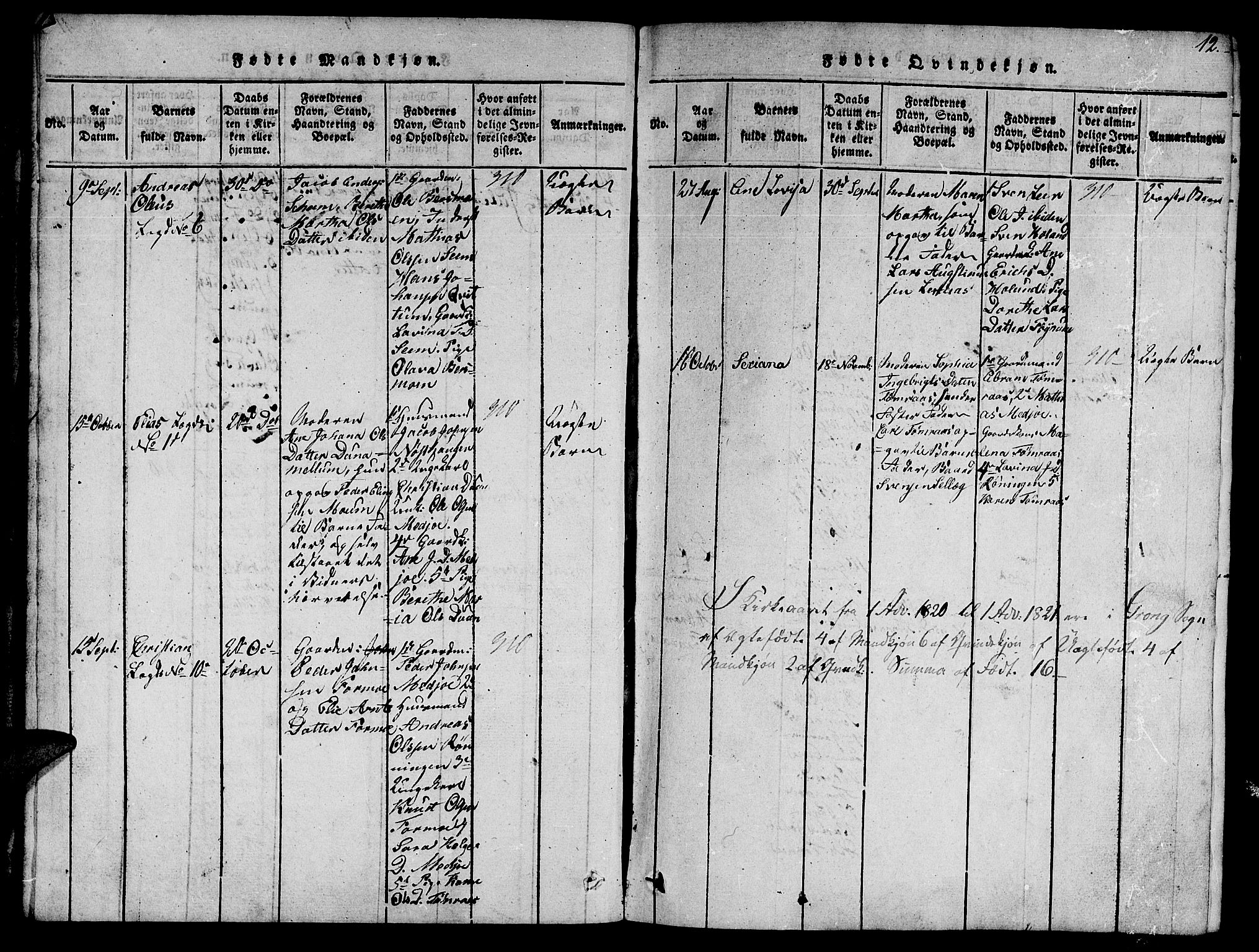 Ministerialprotokoller, klokkerbøker og fødselsregistre - Nord-Trøndelag, AV/SAT-A-1458/758/L0521: Parish register (copy) no. 758C01, 1816-1825, p. 12