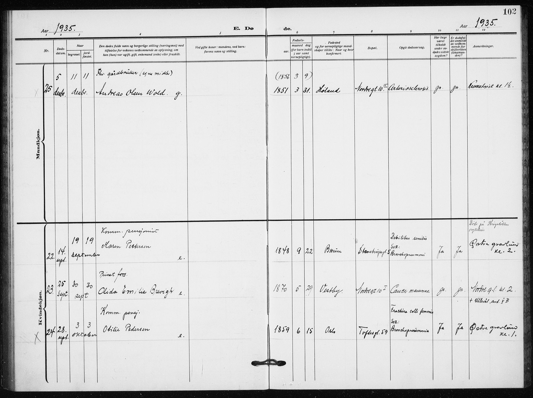 Hauge prestekontor Kirkebøker, AV/SAO-A-10849/F/Fa/L0005: Parish register (official) no. 5, 1917-1938, p. 102