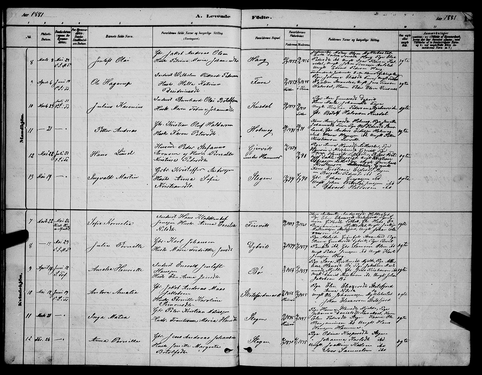 Ministerialprotokoller, klokkerbøker og fødselsregistre - Nordland, AV/SAT-A-1459/855/L0816: Parish register (copy) no. 855C05, 1879-1894, p. 12