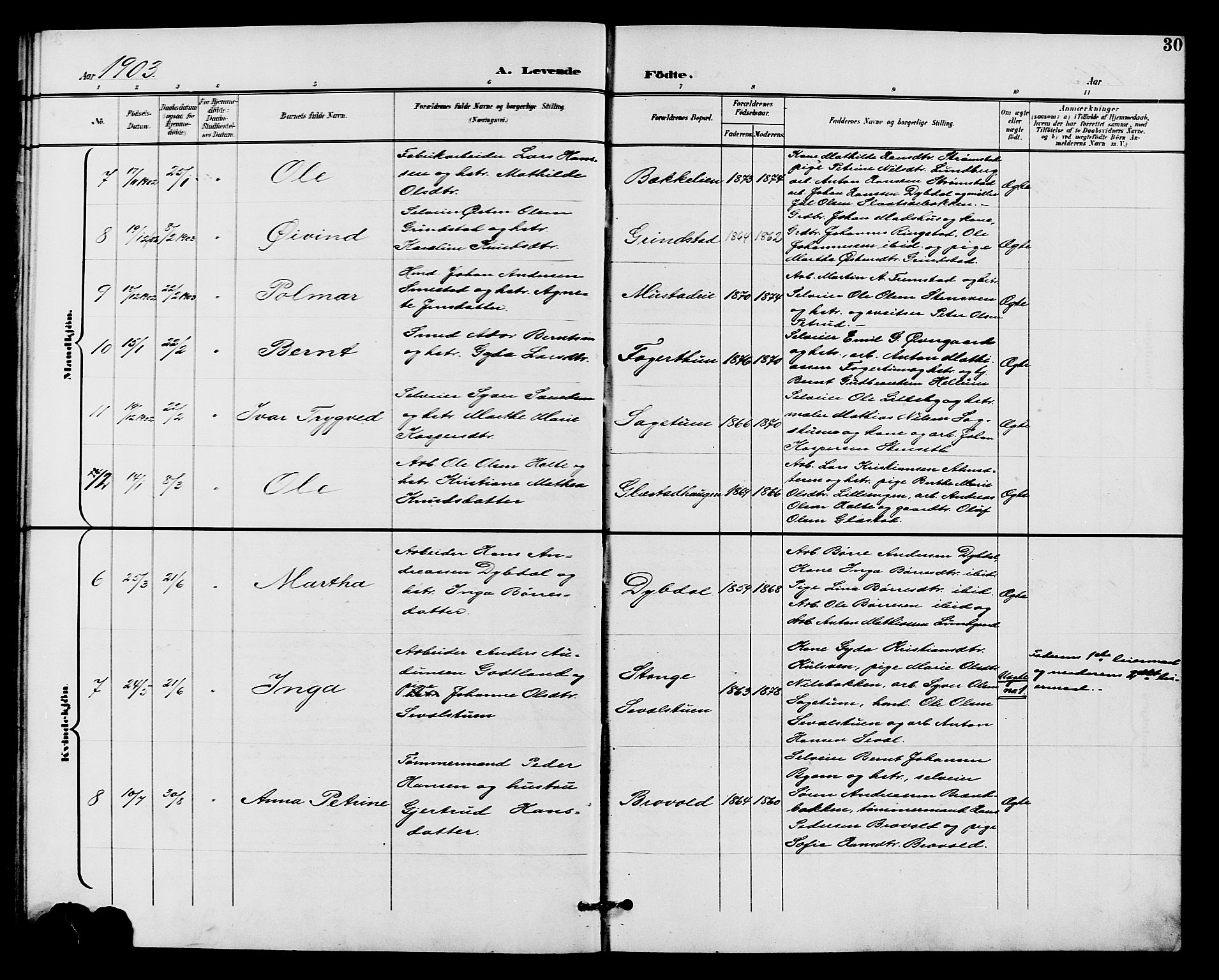 Vardal prestekontor, AV/SAH-PREST-100/H/Ha/Hab/L0011: Parish register (copy) no. 11, 1899-1913, p. 30