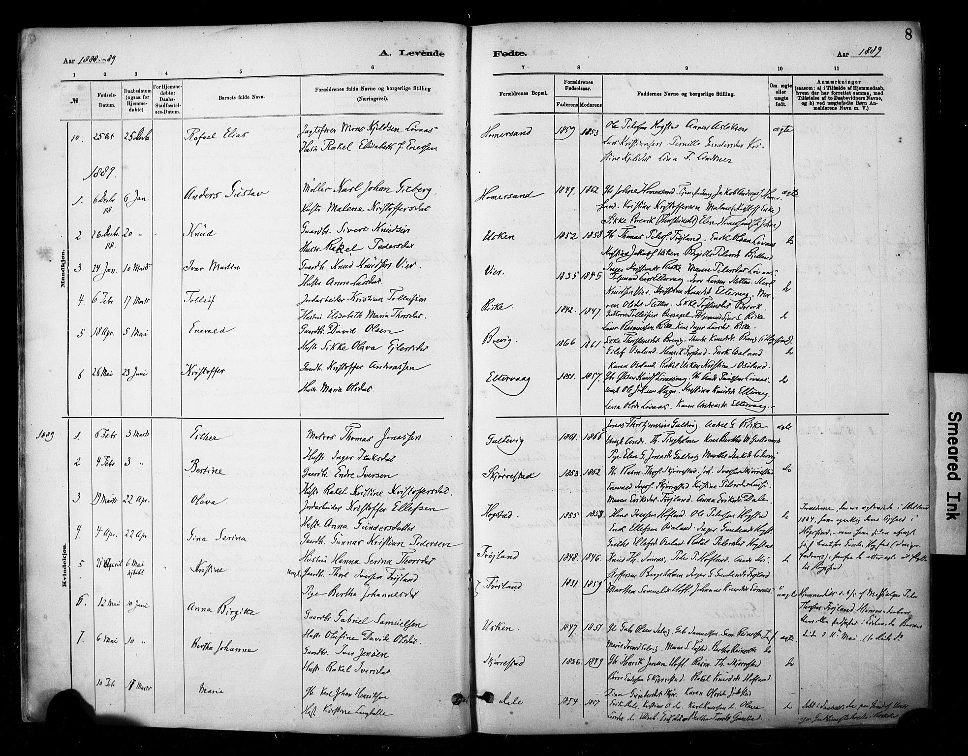 Hetland sokneprestkontor, SAST/A-101826/30/30BA/L0010: Parish register (official) no. A 10, 1882-1925, p. 8