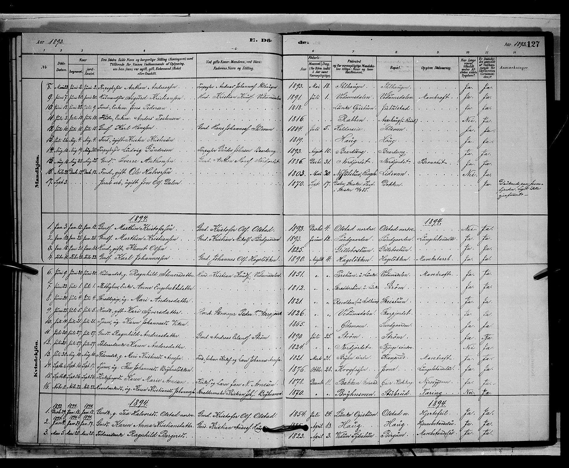 Øyer prestekontor, AV/SAH-PREST-084/H/Ha/Hab/L0002: Parish register (copy) no. 2, 1878-1896, p. 127