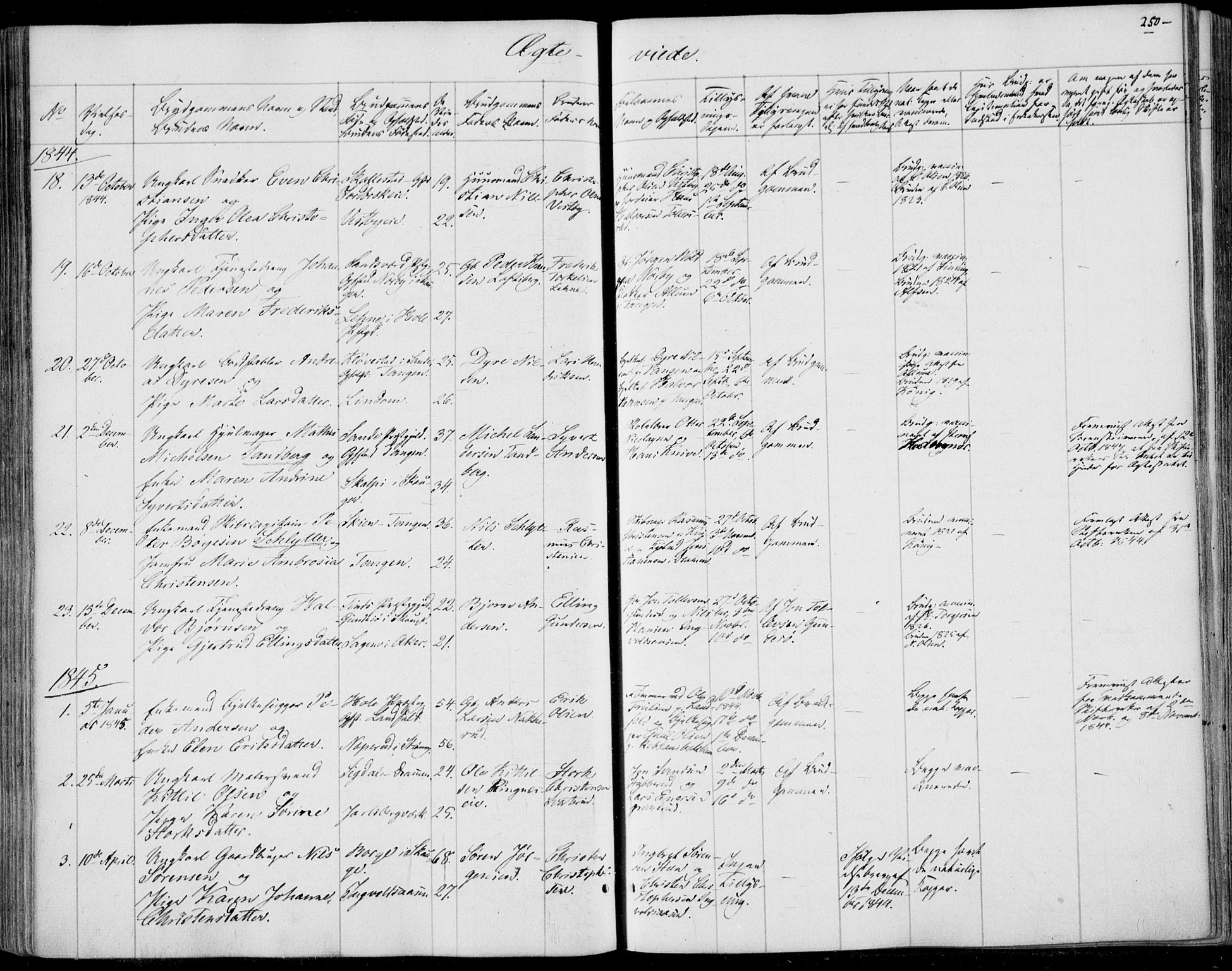 Skoger kirkebøker, SAKO/A-59/F/Fa/L0003: Parish register (official) no. I 3, 1842-1861, p. 250