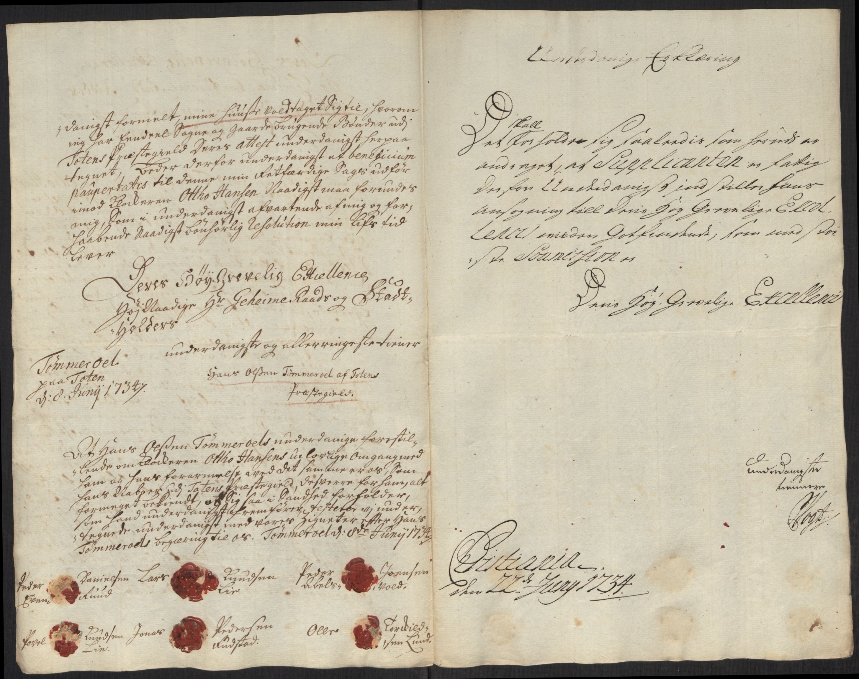 Stattholderembetet 1572-1771, AV/RA-EA-2870/Ef/L0107: Brev fra embetsmenn og andre, 1733-1734, p. 305