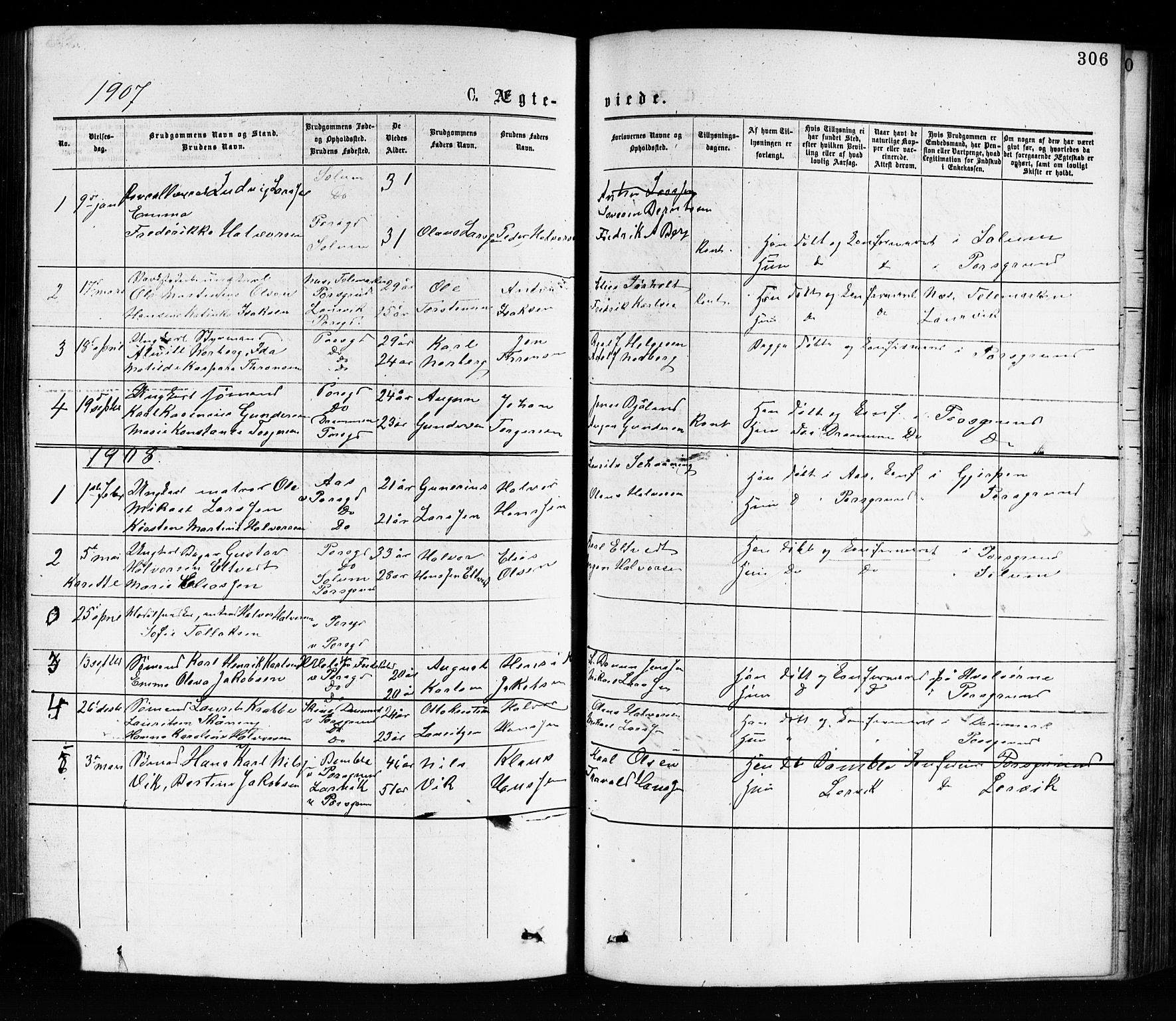 Porsgrunn kirkebøker , SAKO/A-104/G/Ga/L0003: Parish register (copy) no. I 3, 1877-1915, p. 306