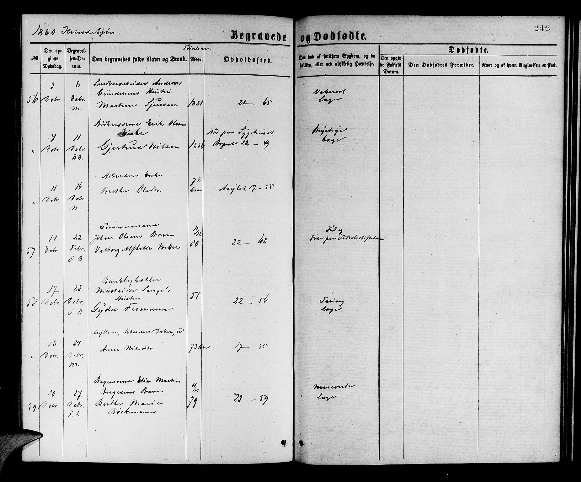 Korskirken sokneprestembete, SAB/A-76101/H/Hab: Parish register (copy) no. E 3, 1871-1883, p. 243