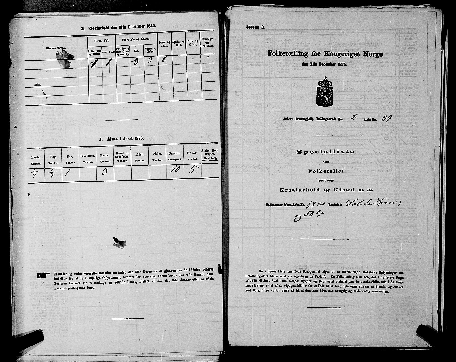 RA, 1875 census for 0220P Asker, 1875, p. 425