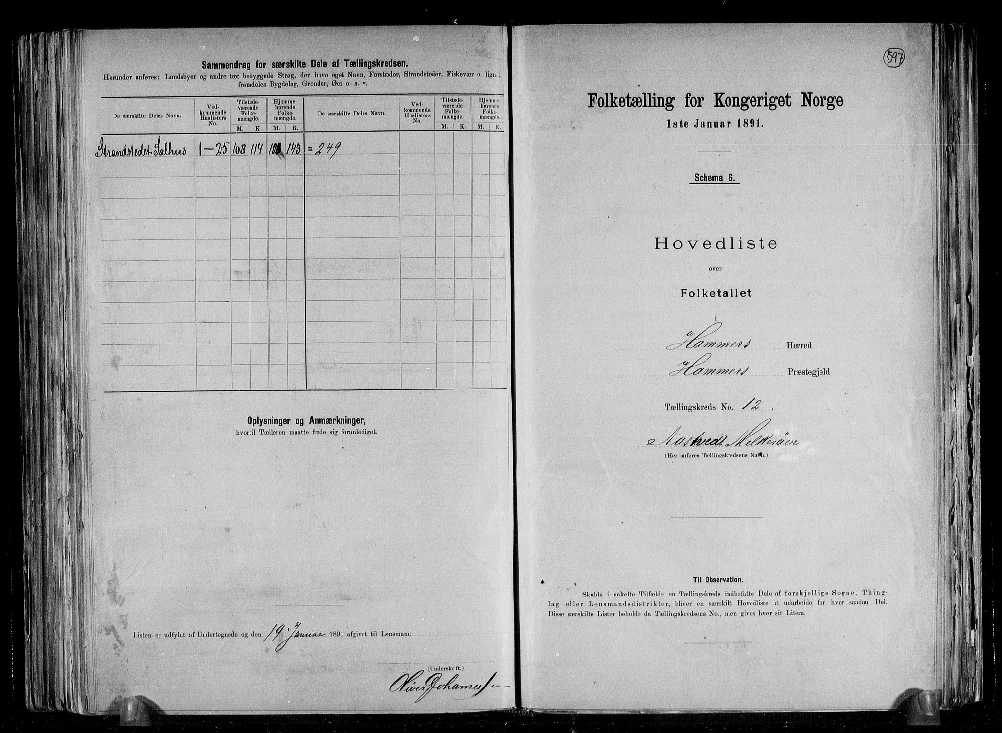 RA, 1891 census for 1254 Hamre, 1891, p. 31