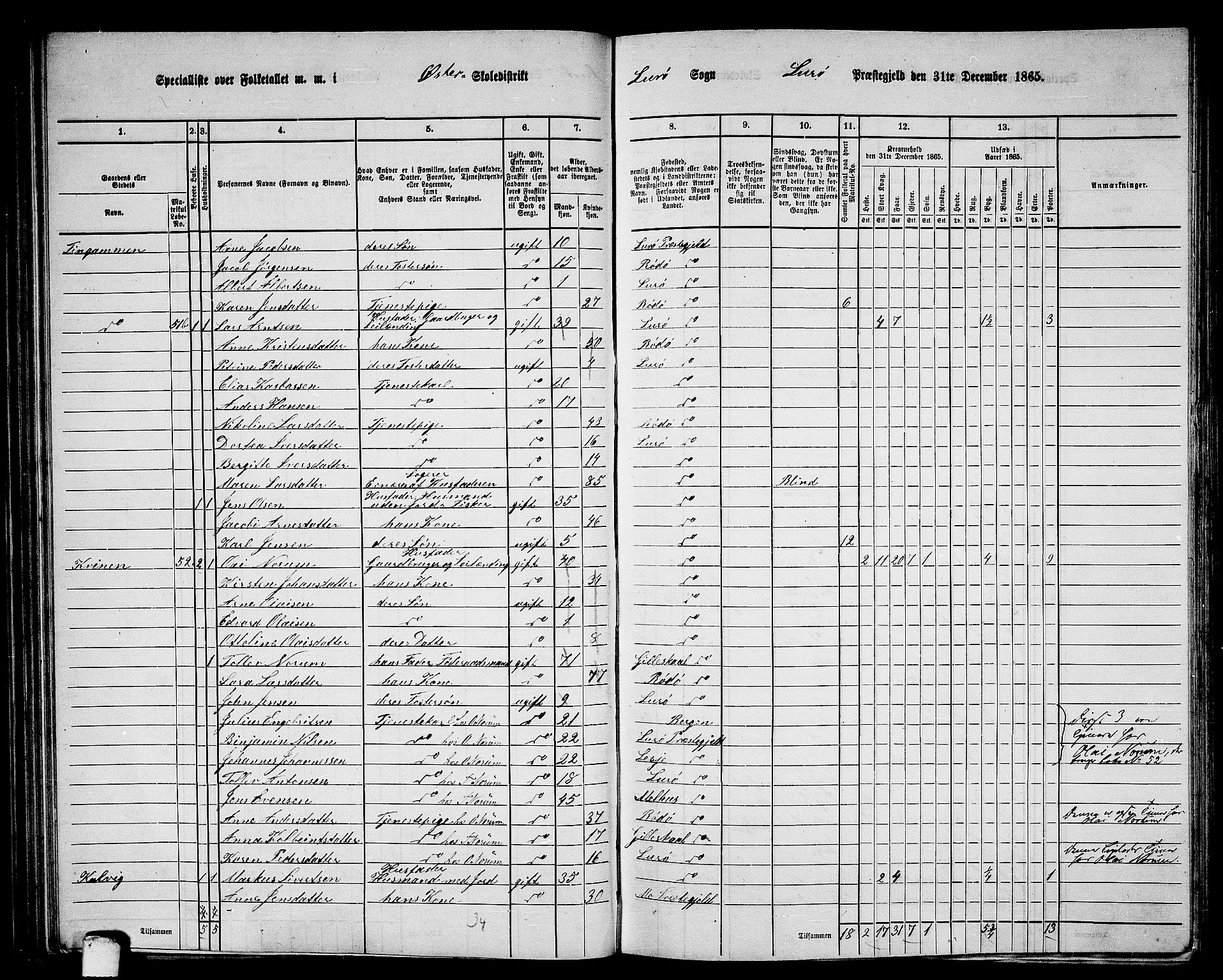 RA, 1865 census for Lurøy, 1865, p. 65