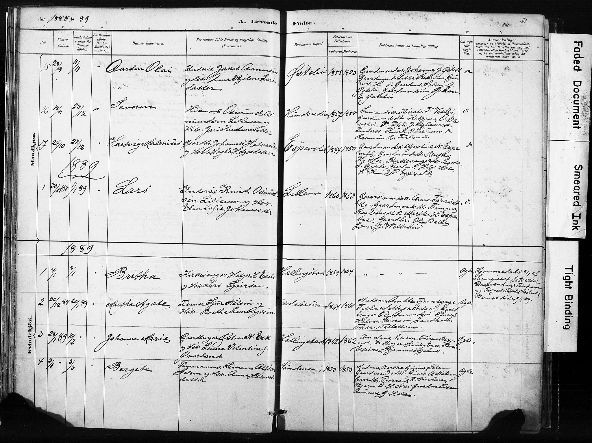 Vikedal sokneprestkontor, AV/SAST-A-101840/01/IV: Parish register (official) no. A 10, 1884-1907, p. 23