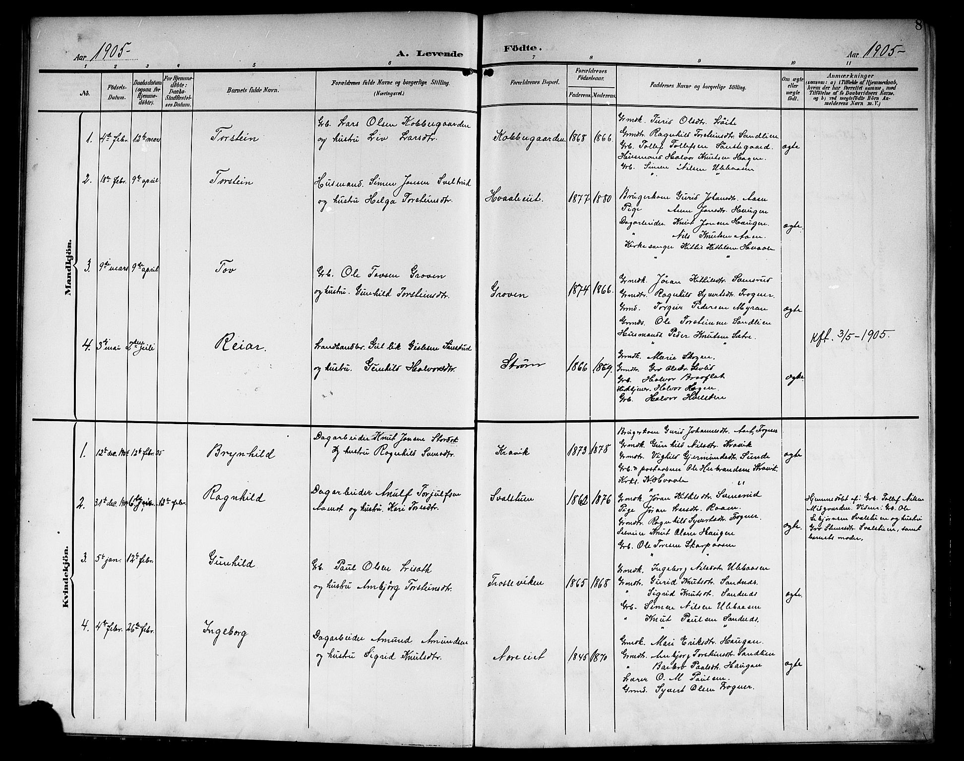 Nore kirkebøker, SAKO/A-238/G/Ga/L0004: Parish register (copy) no. I 4, 1904-1919, p. 8