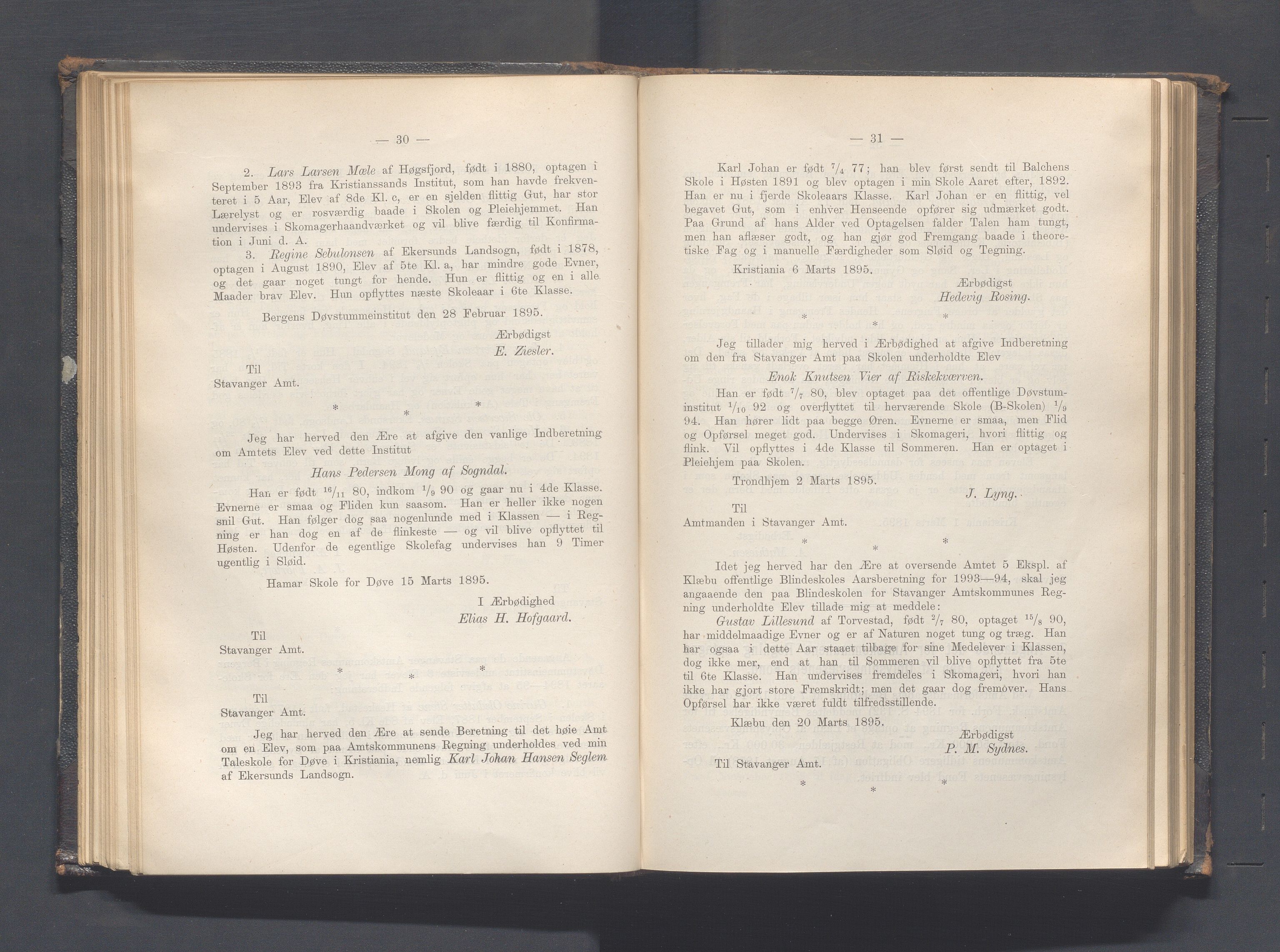 Rogaland fylkeskommune - Fylkesrådmannen , IKAR/A-900/A, 1895, p. 89