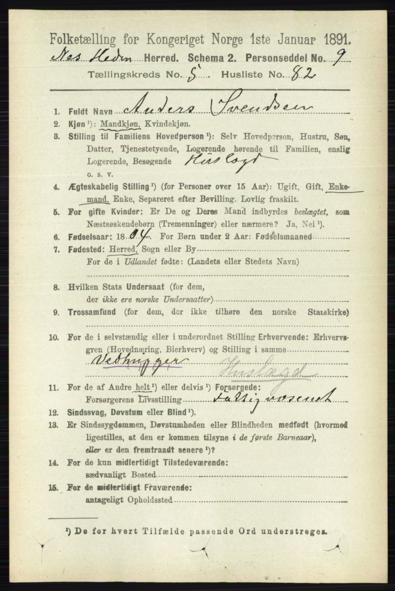 RA, 1891 census for 0411 Nes, 1891, p. 3138