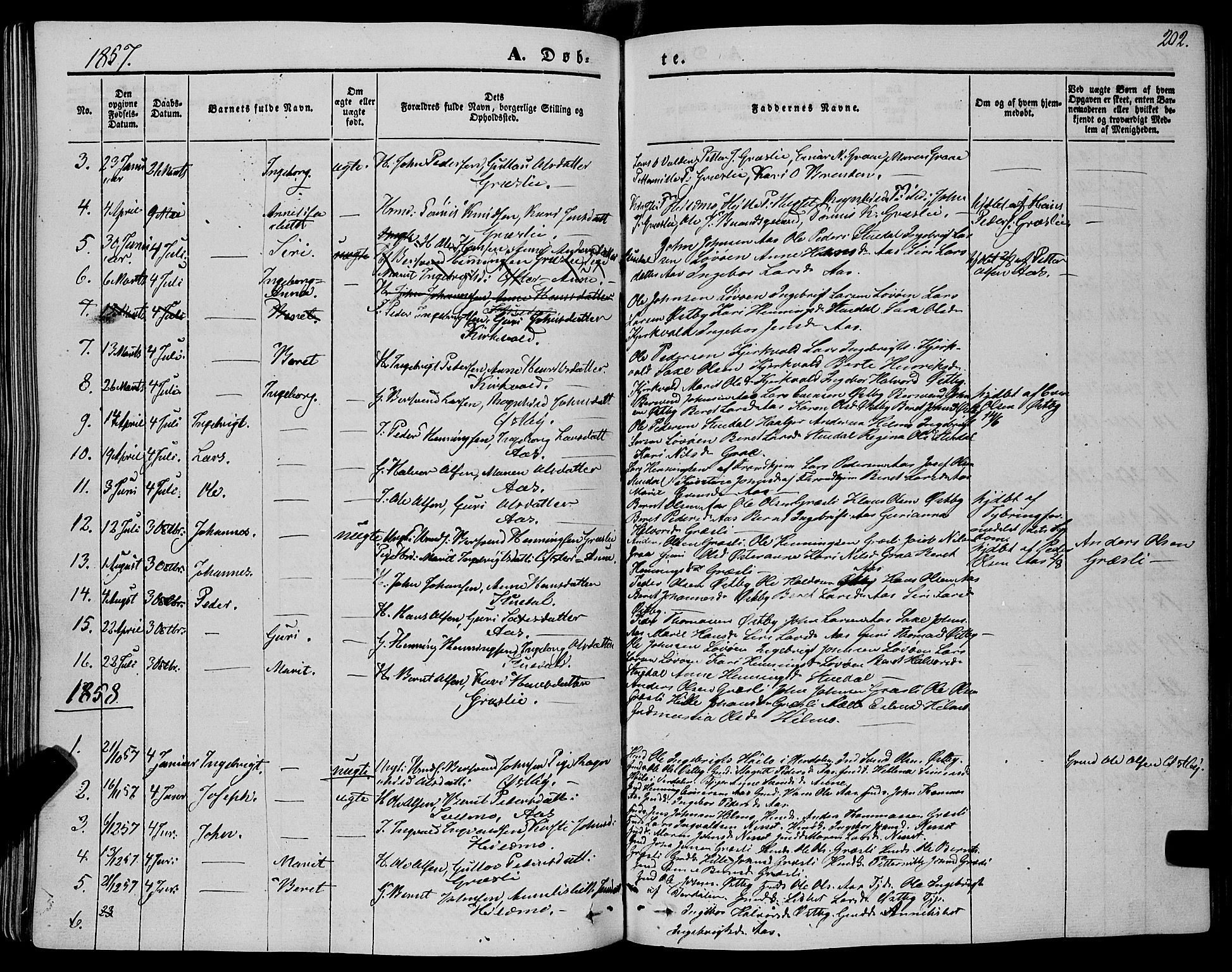 Ministerialprotokoller, klokkerbøker og fødselsregistre - Sør-Trøndelag, SAT/A-1456/695/L1146: Parish register (official) no. 695A06 /2, 1843-1859, p. 202