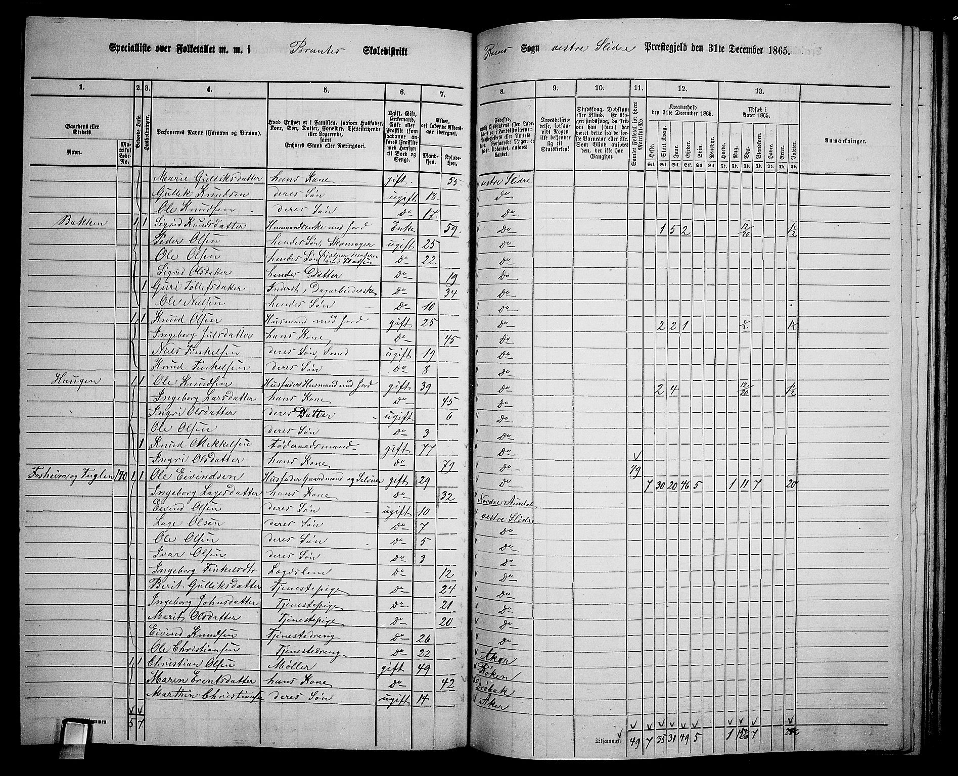 RA, 1865 census for Vestre Slidre, 1865, p. 111