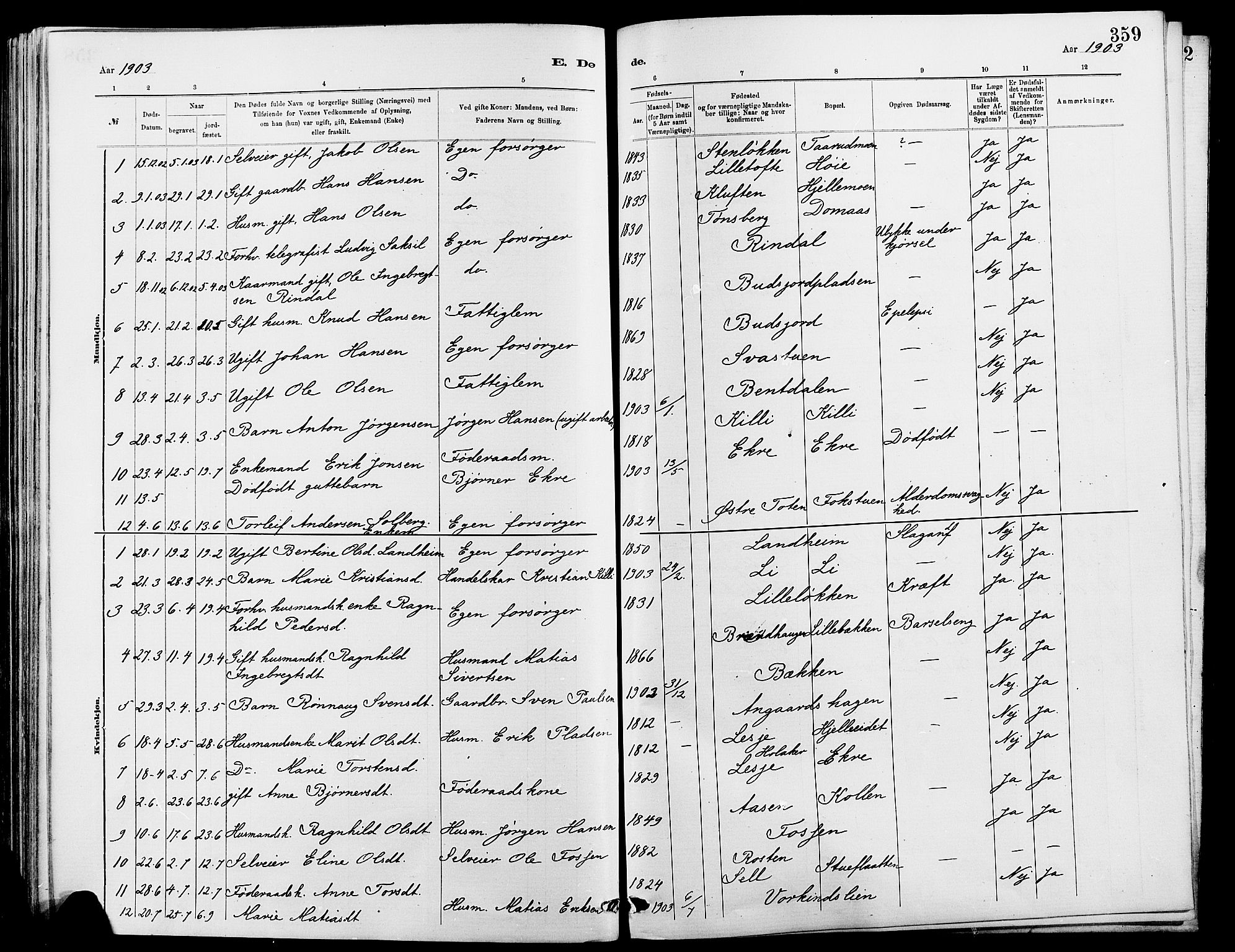 Dovre prestekontor, SAH/PREST-066/H/Ha/Hab/L0002: Parish register (copy) no. 2, 1881-1907, p. 359