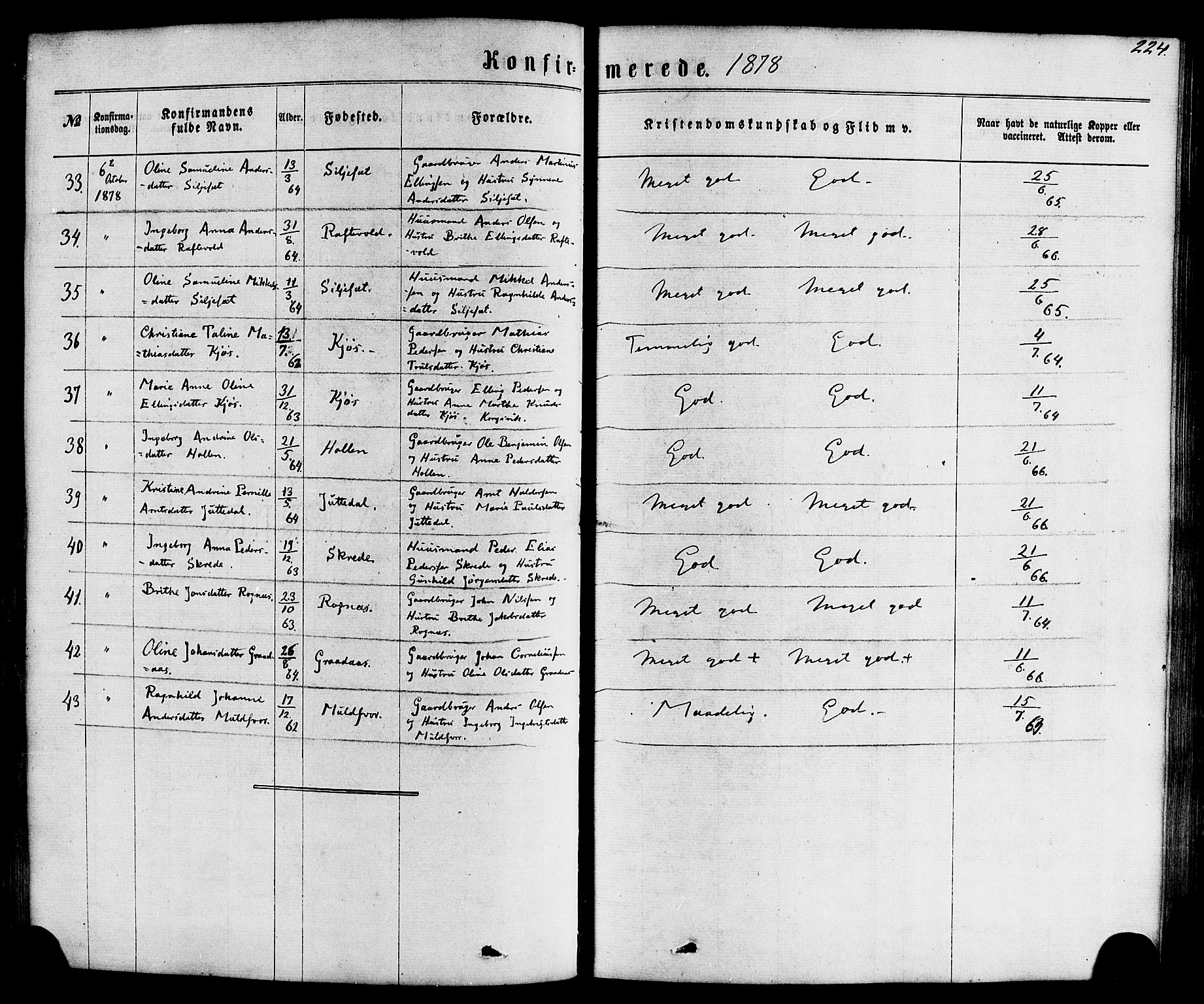 Hornindal sokneprestembete, AV/SAB-A-82401/H/Haa/Haaa/L0002: Parish register (official) no. A 2, 1867-1884, p. 224