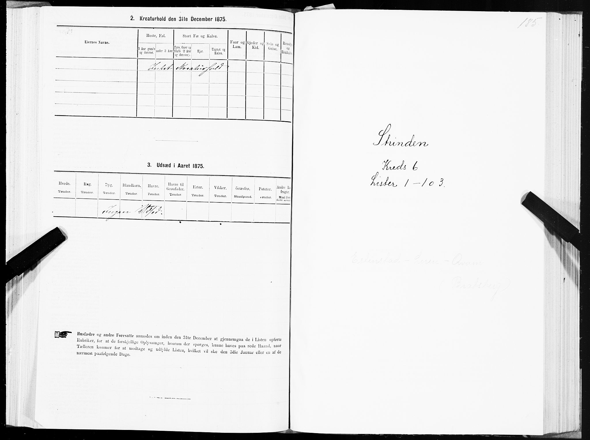 SAT, 1875 census for 1660P Strinda, 1875, p. 3185