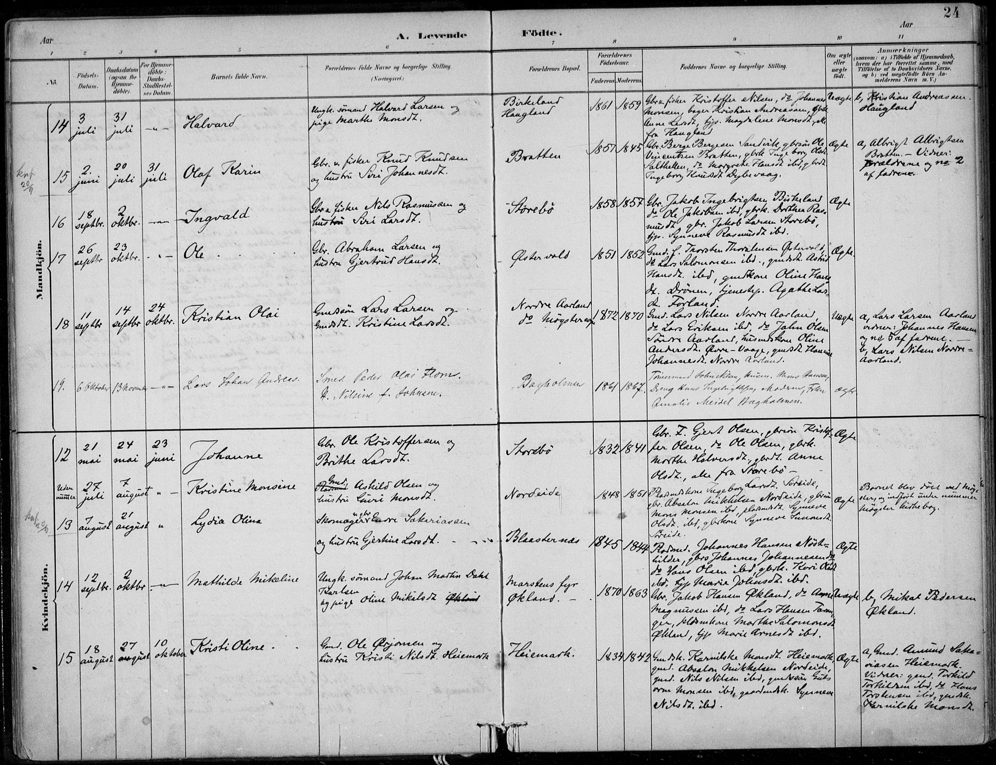 Sund sokneprestembete, SAB/A-99930: Parish register (official) no. C  1, 1882-1899, p. 24